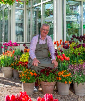 Claus Dalby on Tulips in Containers 60