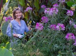 Marianne Willburn on Great Dixter, the Fringe Tree, Handling Nandina: 65