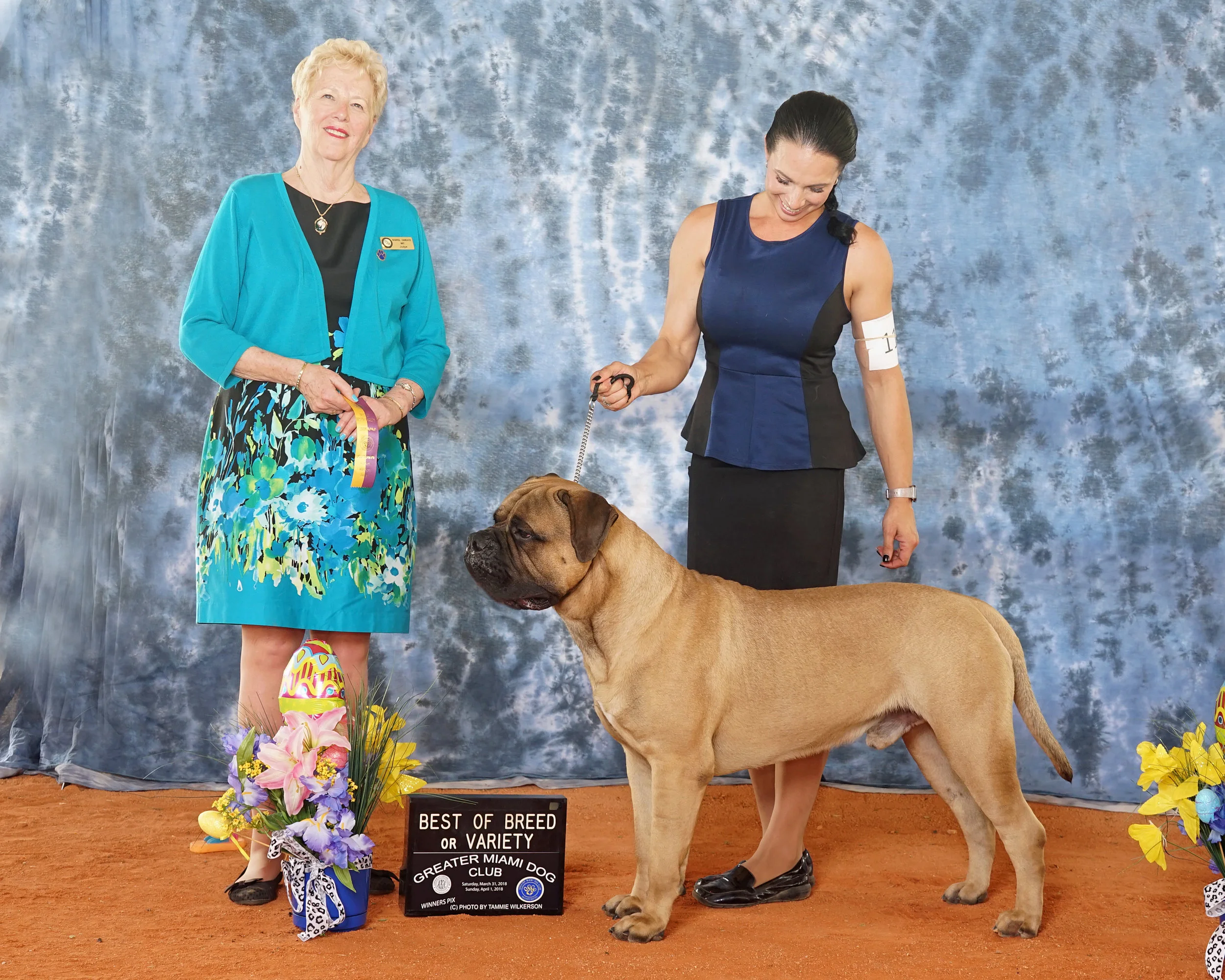 Mallory Ridgeback Silverback Bullmastiffs and RadiantRidge Rhodesian Ridgebacks