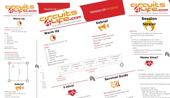 30 Workouts ($4.17 per program)