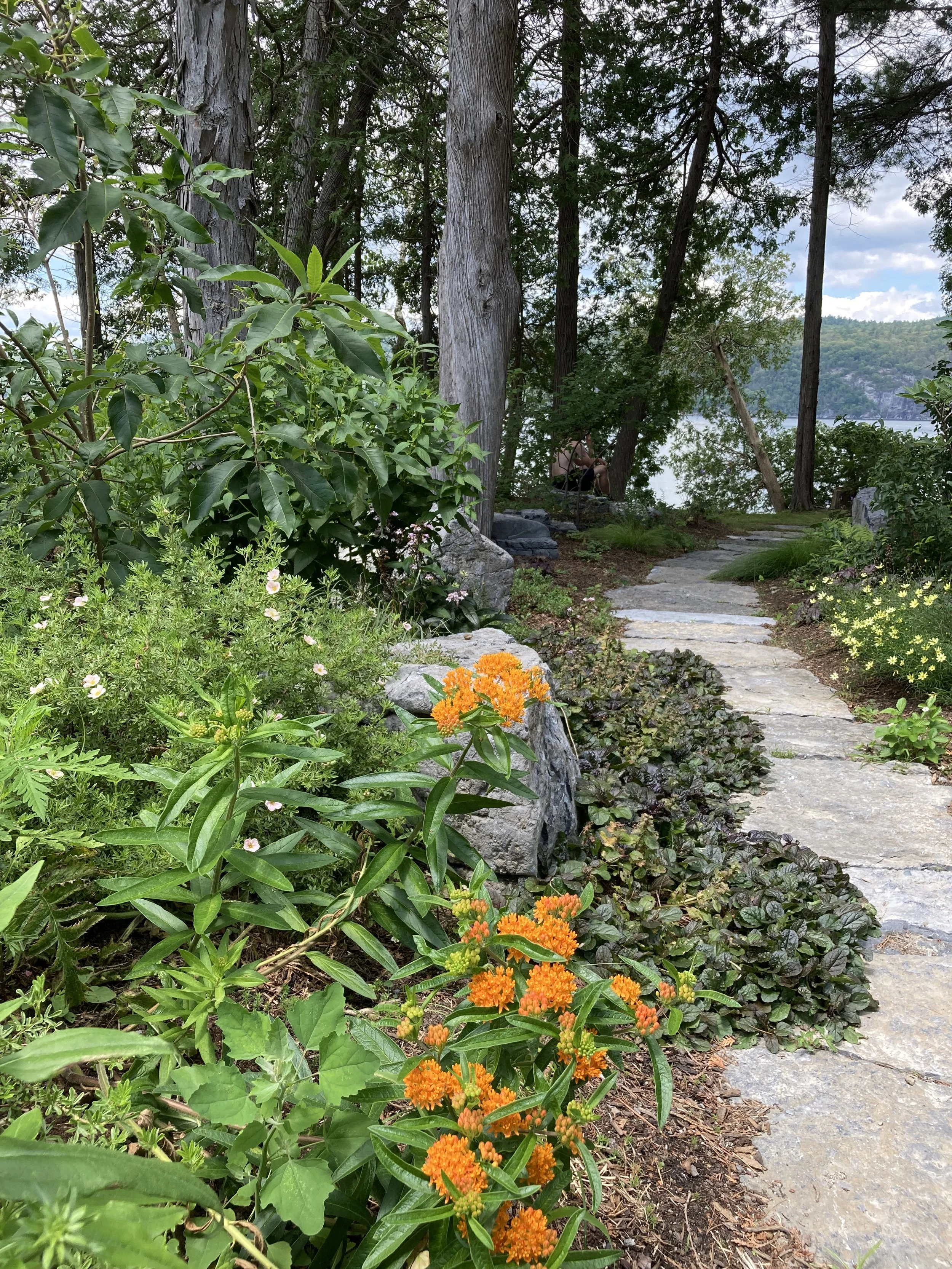 Grow Native MA Workshop 'Plant Communities: Functional Plant Roles for Restorative Gardens'