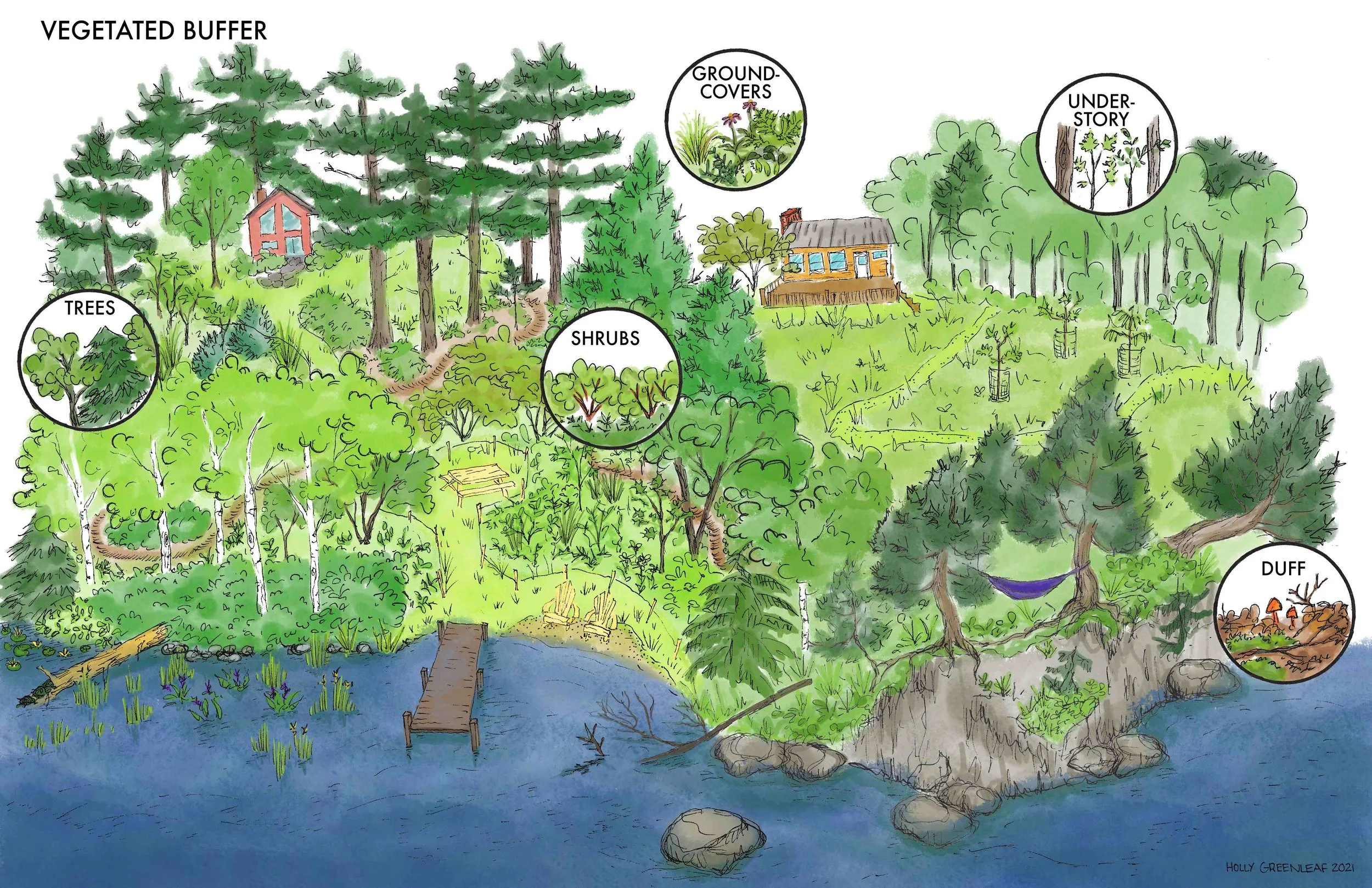 VT DEC Natural Shoreland Erosion Control Certification Training Presentations