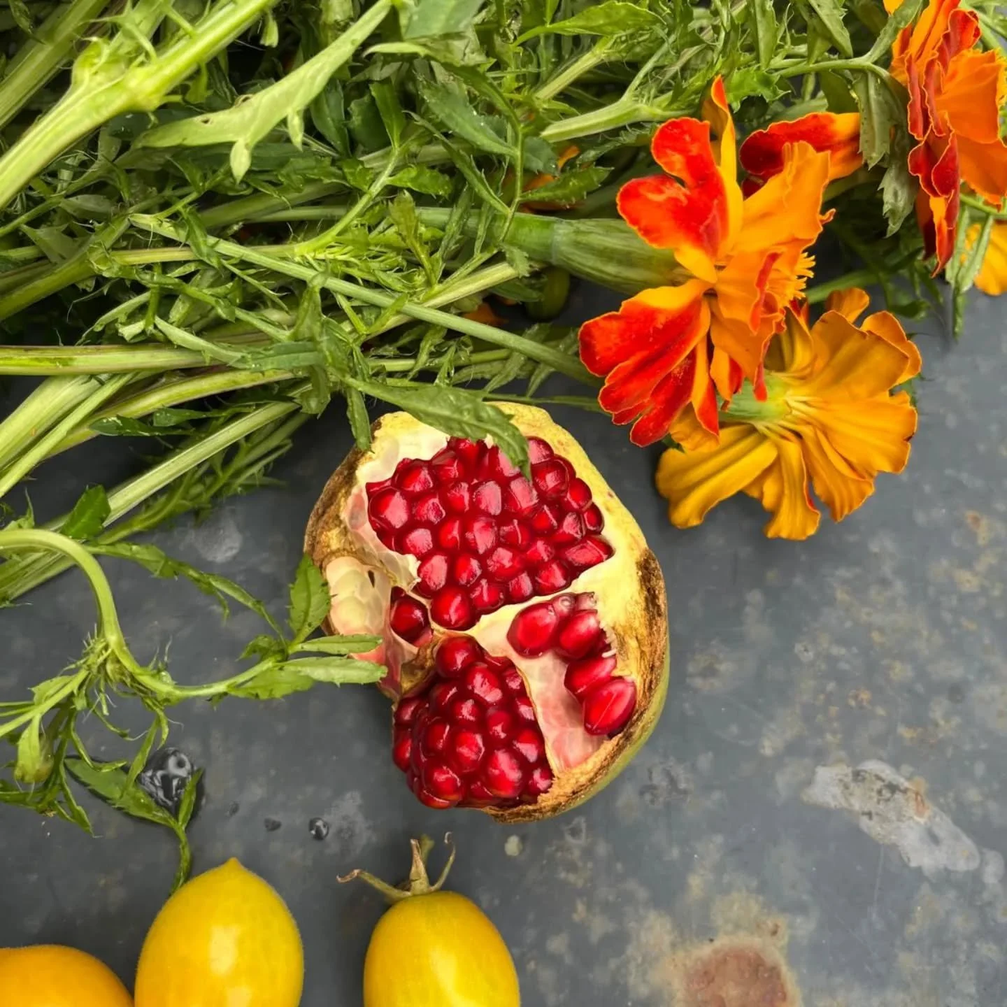 The Pomegranate's make us wait a long time for their bounty. But it's always worth the wait for nature's bon bon!