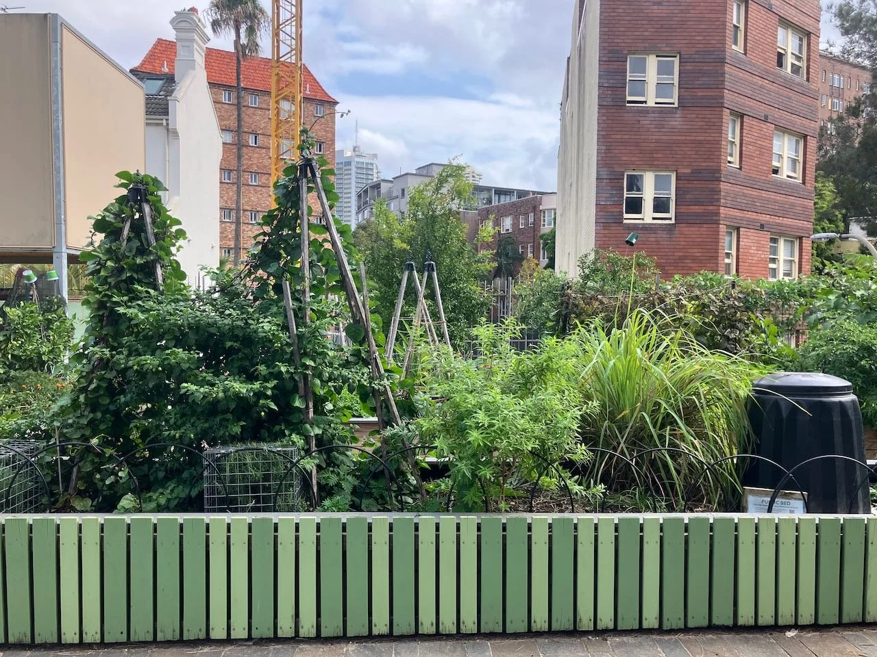 RAMBLING POTAGER GARDEN – SEASONAL UPDATE – SUMMER 2025-26