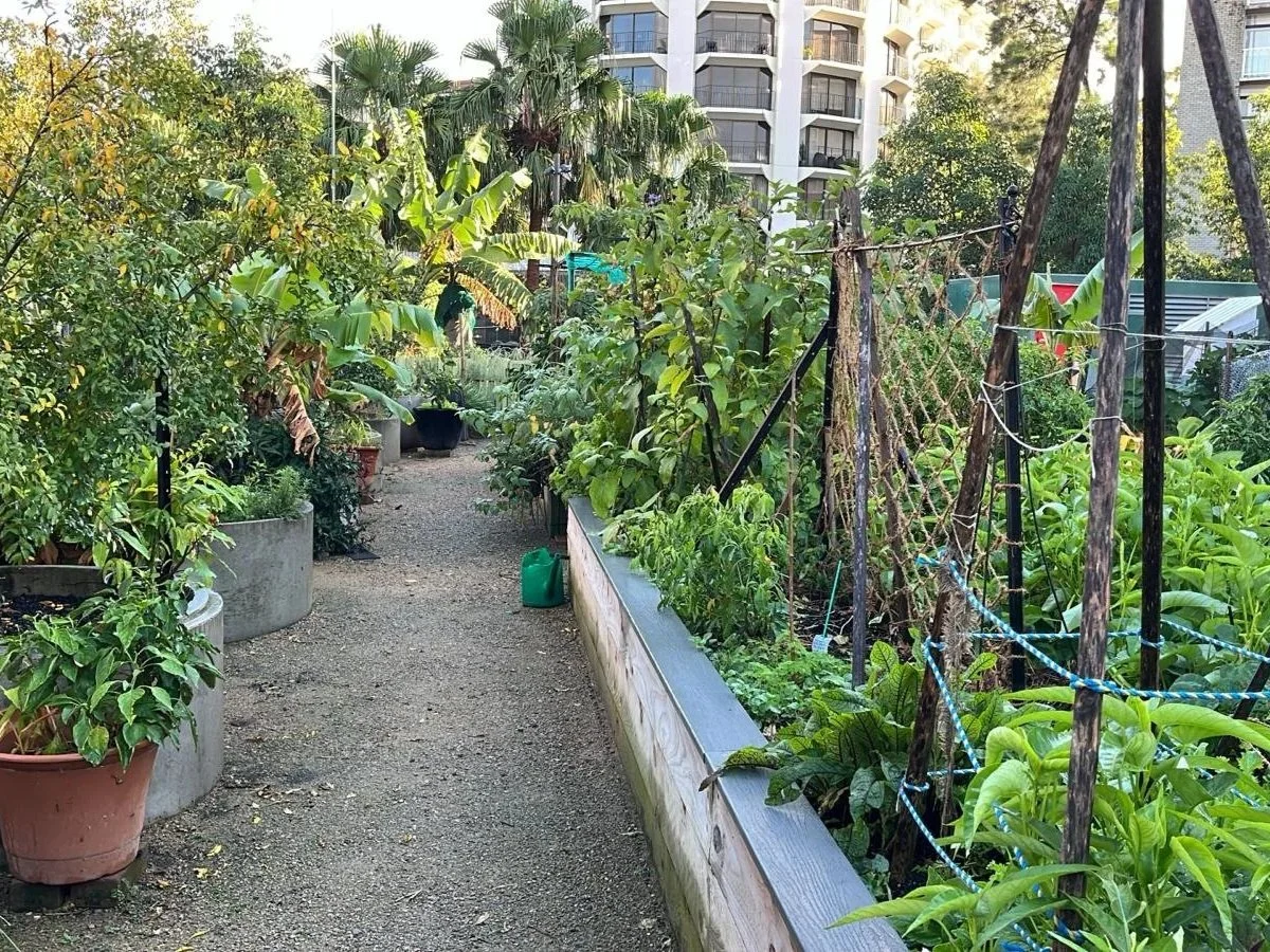 RAMBLING POTAGER GARDEN – SEASONAL UPDATE – AUTUMN 2026