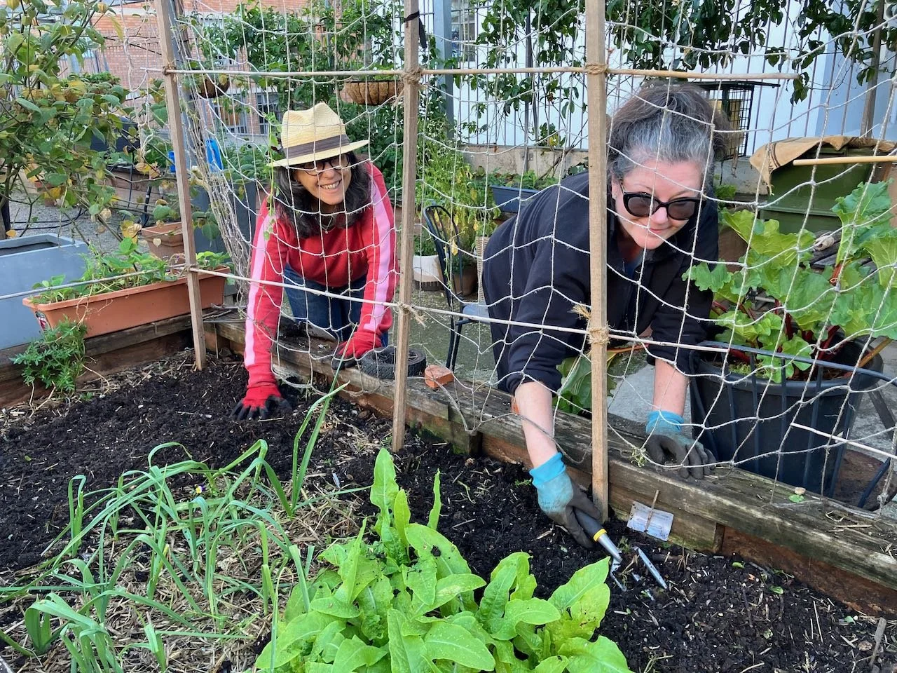 IN THE KITCHEN GARDEN – SPRING 2026  