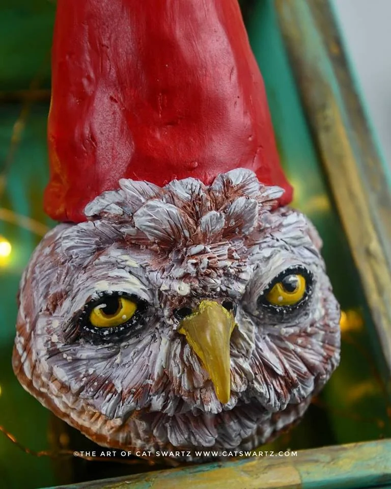 Glaucidium Gnome closeup by Cat Swartz 2018.jpg