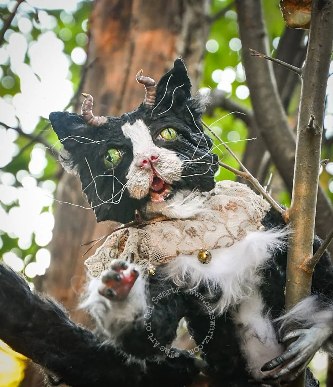 Sebastian Puca by Cat Swartz.jpg