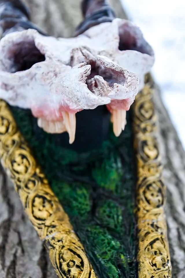 Antiquorum Under jaw view by Cat Swartz 2021.jpg