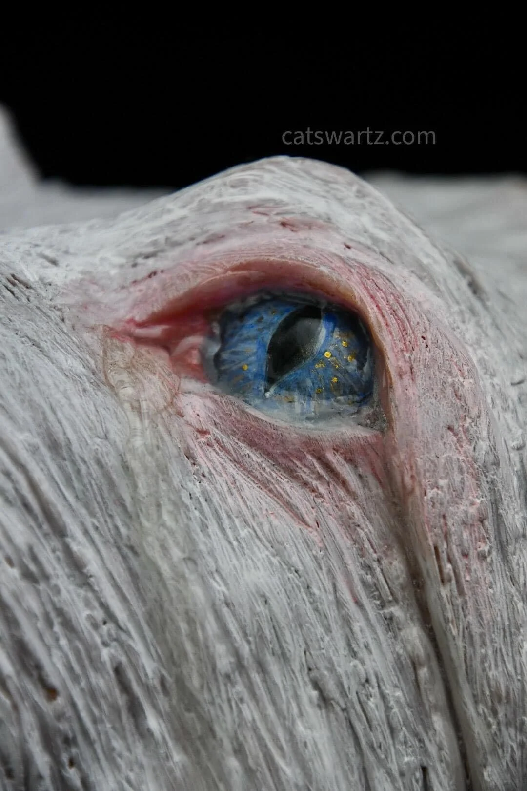 Subimission detail.jpg