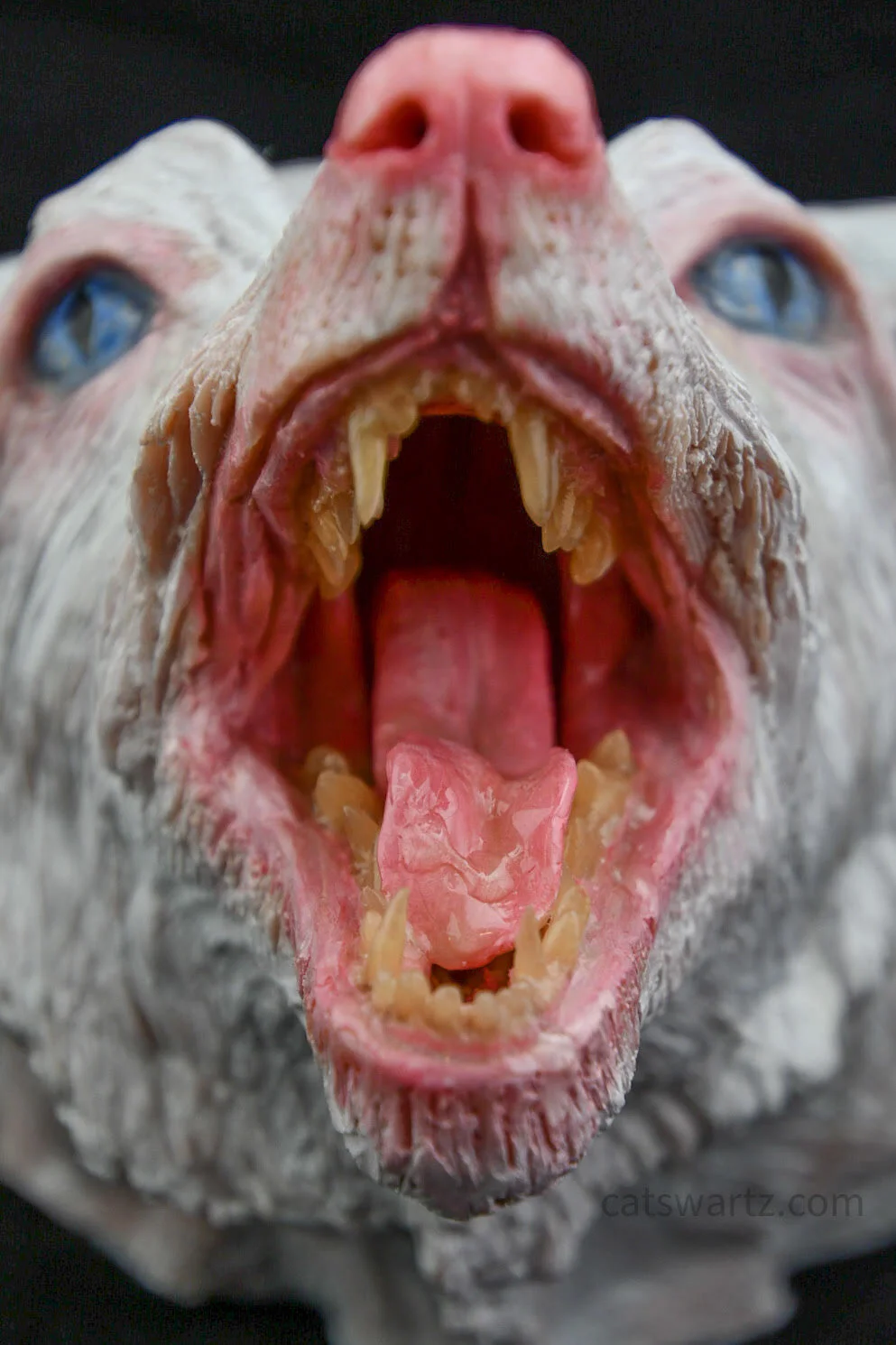 Submission detail by Cat Swartz.jpg