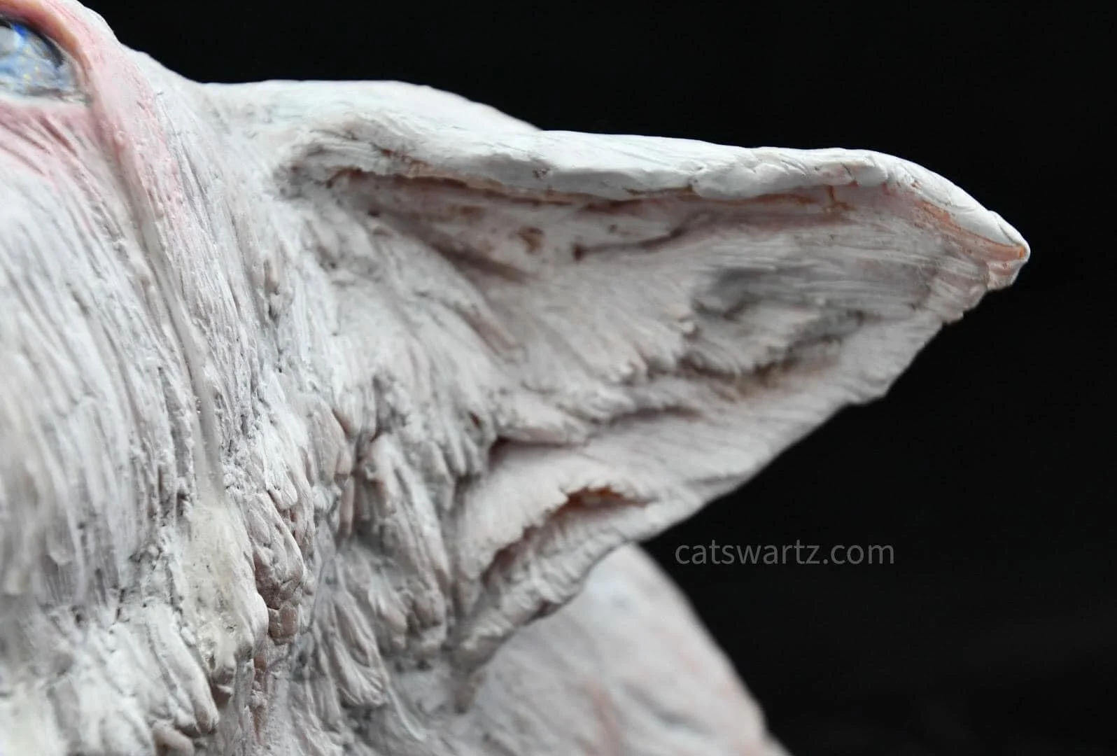 Submission ear detail.jpg