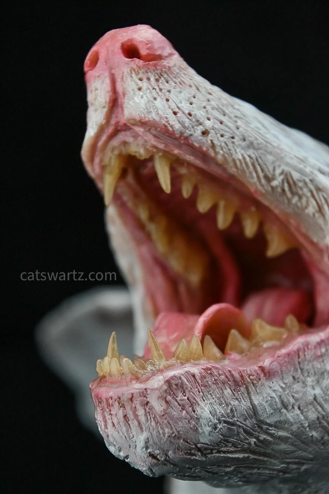 Submission mouth detail.jpg