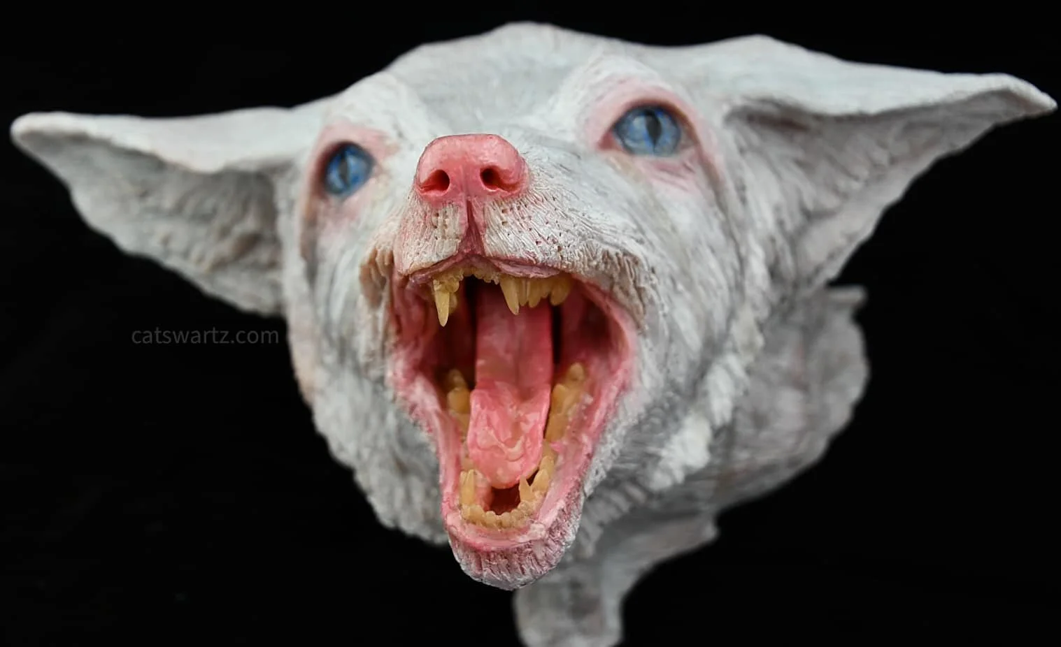 Submission front view.jpg