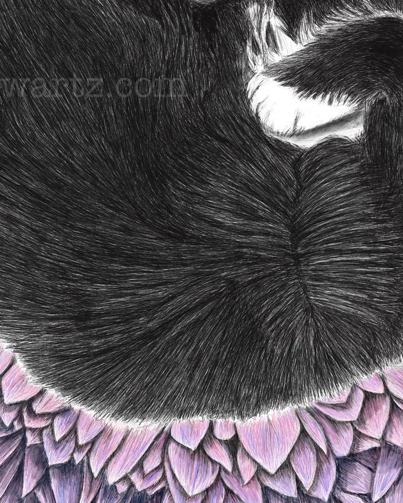 SoulKitten details.jpg