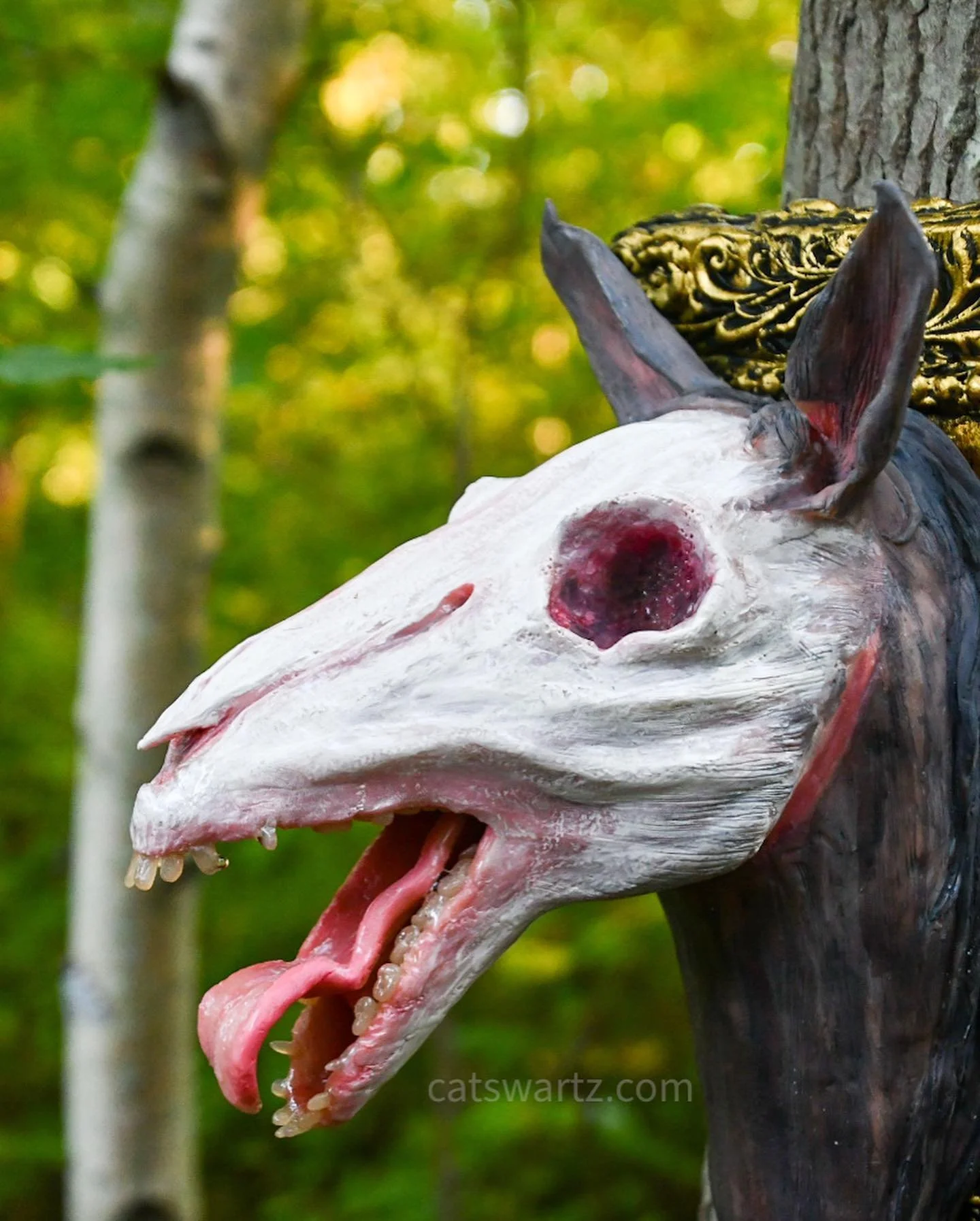 242652201_5089068967776822_8368617136818254279_n (1).jpg