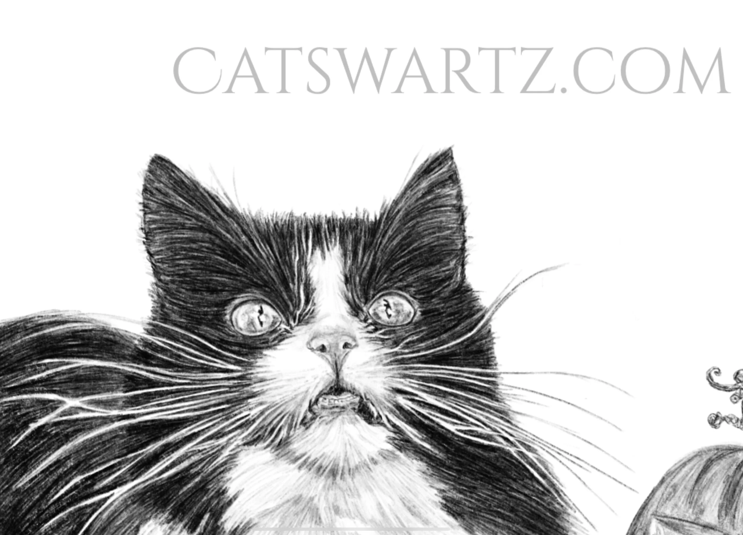 2F1223D1-7F94-4A82-9D4C-614C08060B21