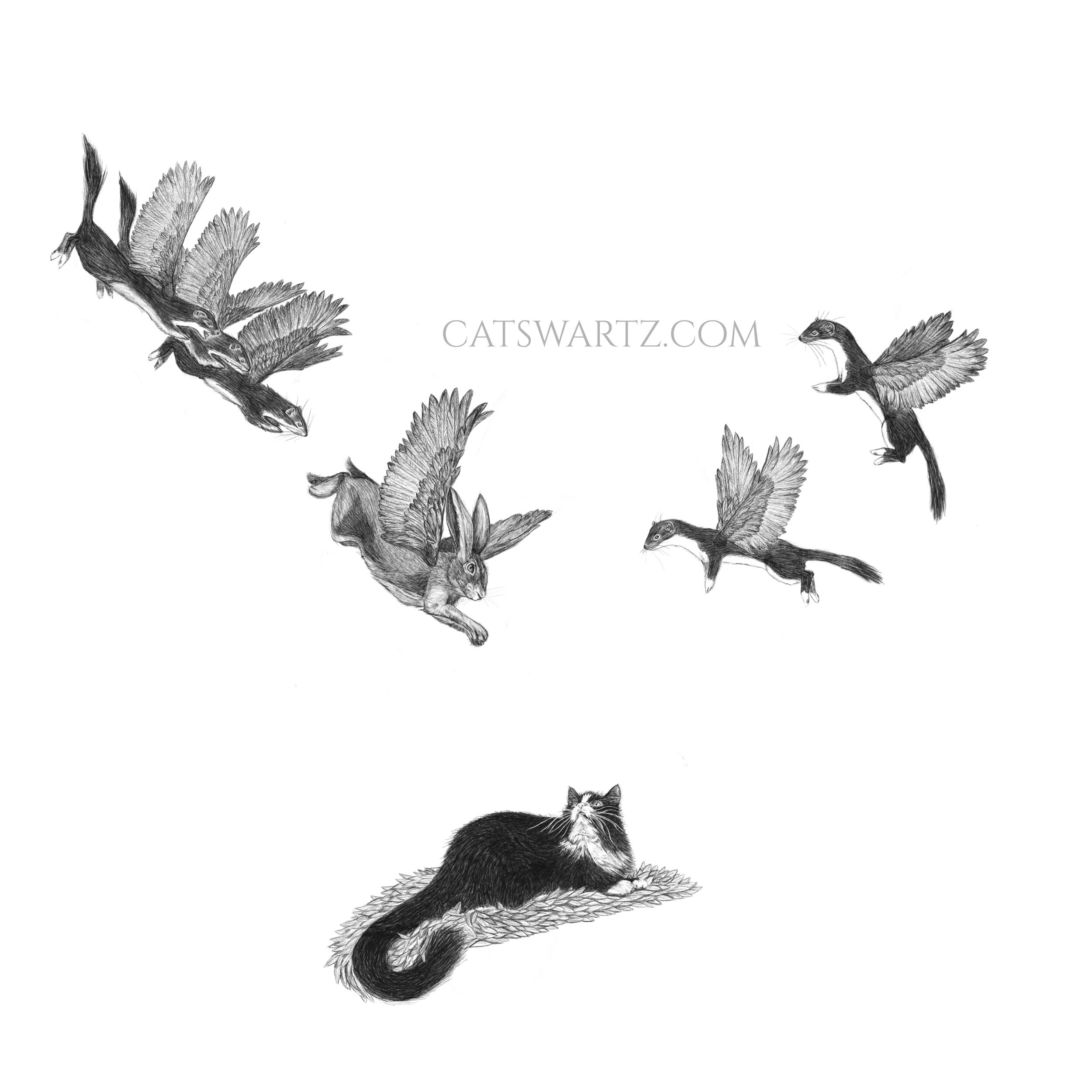 3075CC62-413D-428A-956E-9E0B7B5D6431