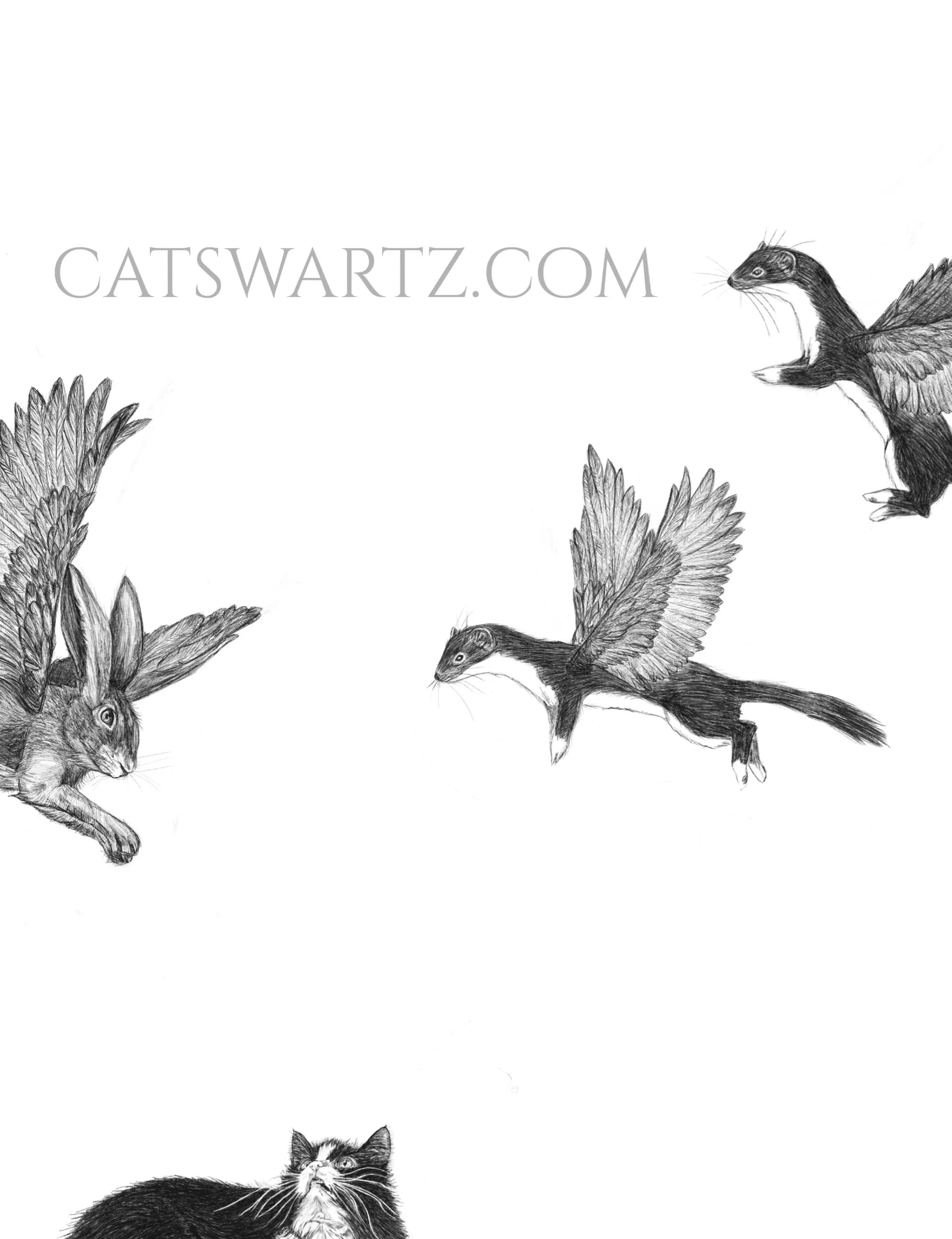 303713DF-9D0A-44E6-8975-62C33F7A5B8B