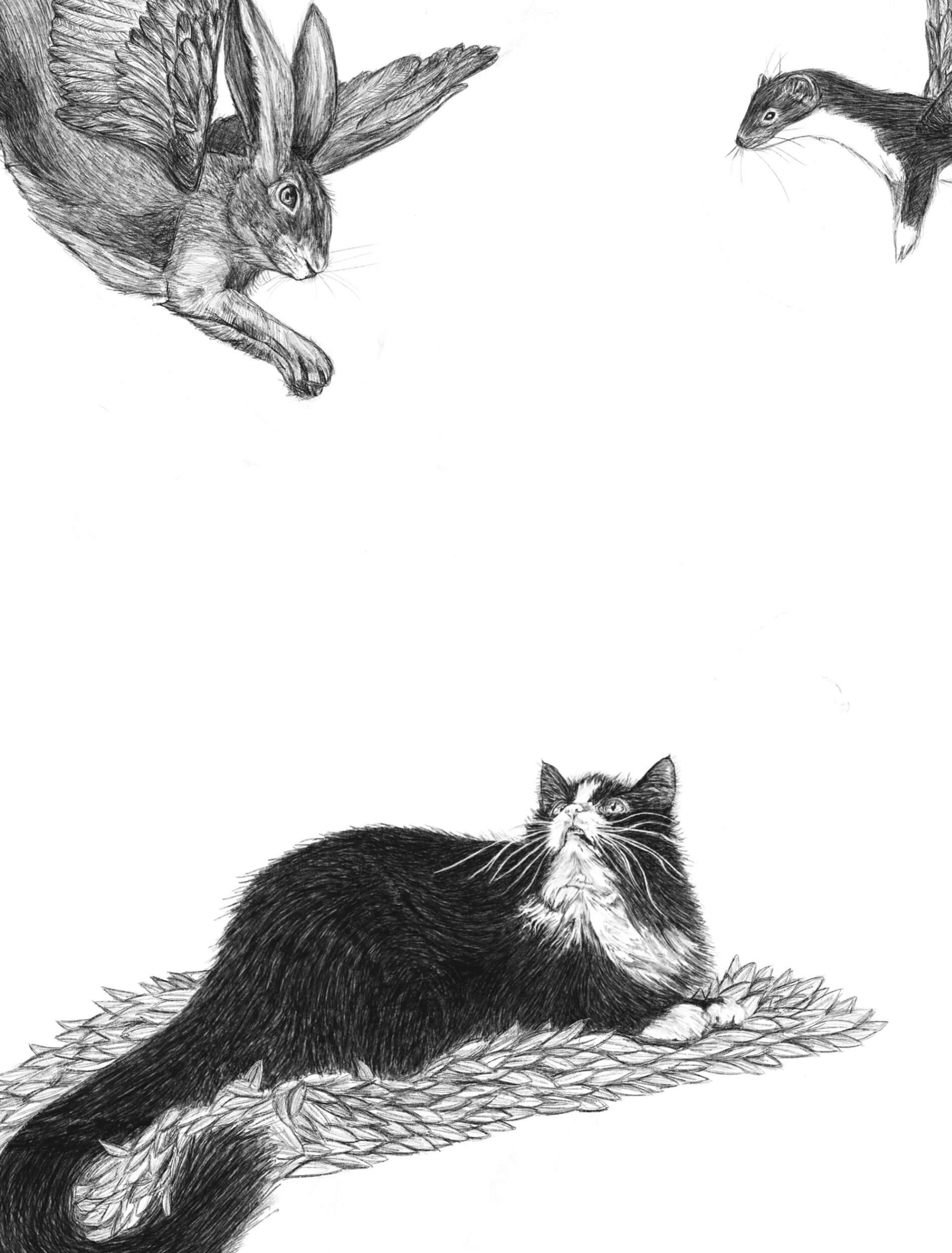 5D9743A6-C678-4701-9285-03864E1D0E39