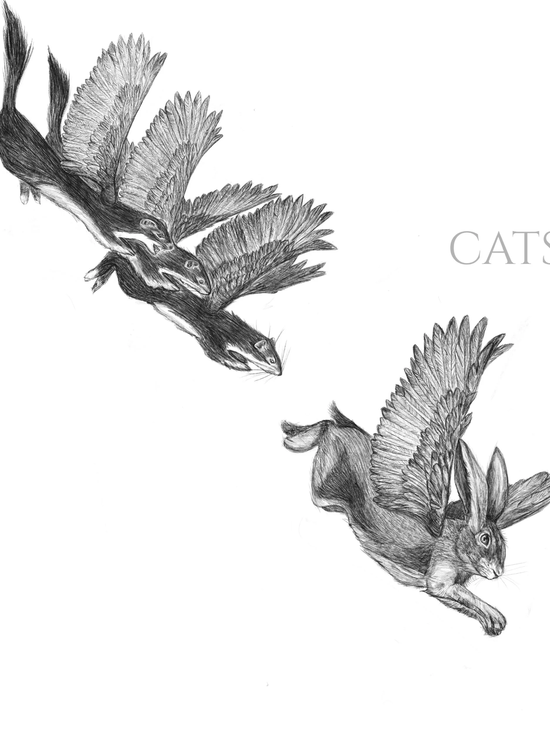 734D0788-D213-4F2D-9636-A93C0DF3582E