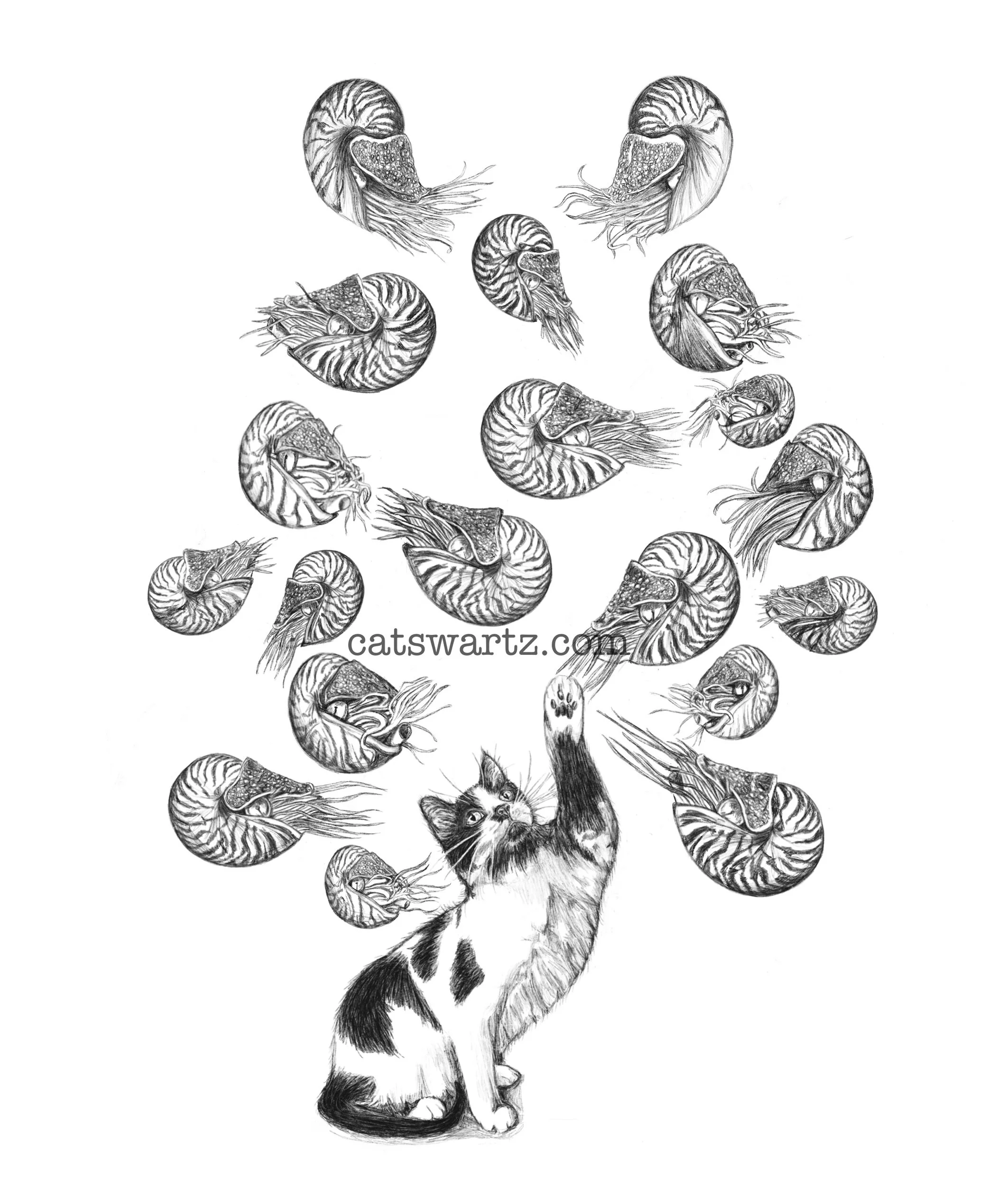 711EC4CC-DB59-4B7B-B5B0-0240AFCF3267