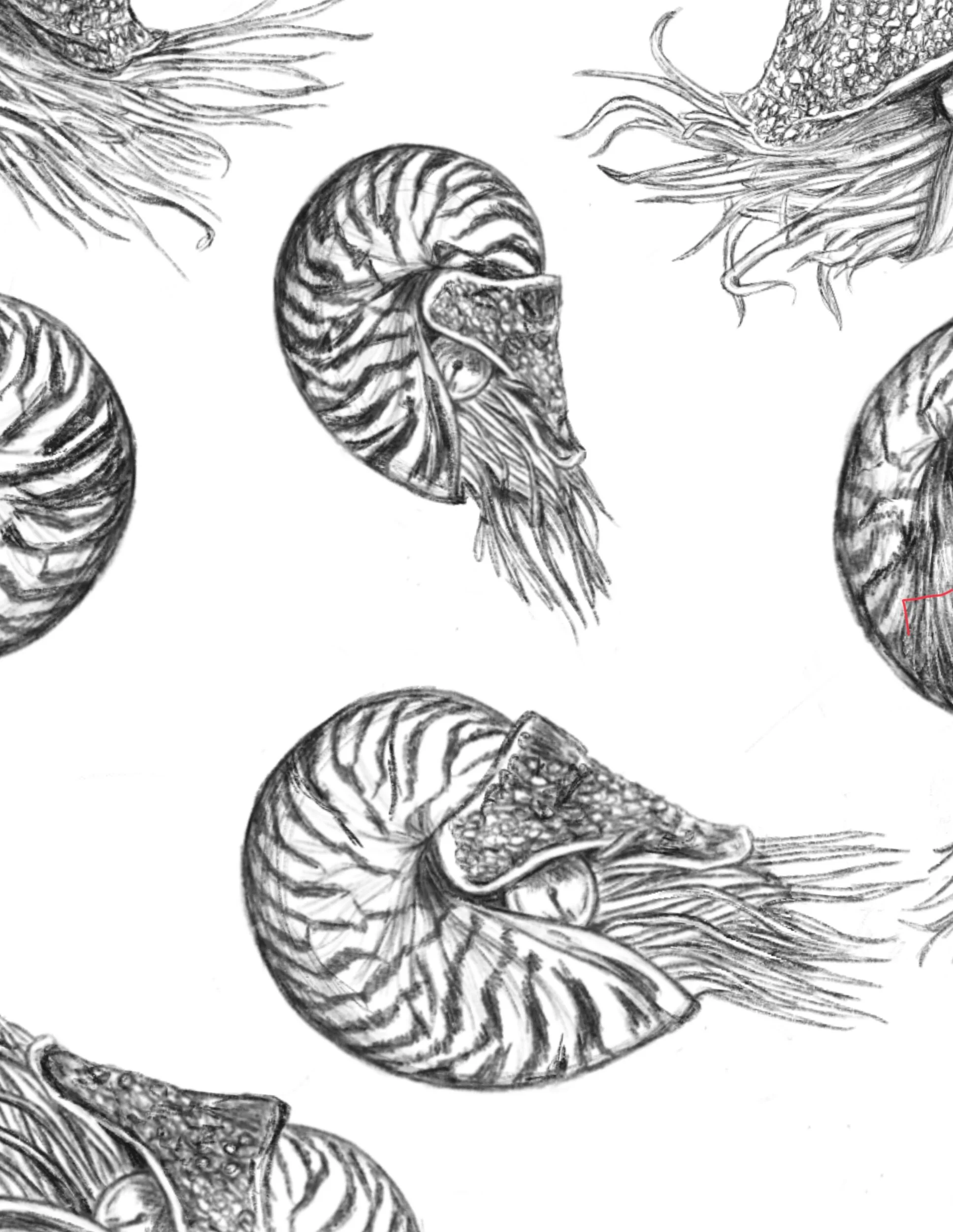 30DCC069-FFDA-4CAD-BE41-85B586C2FB92