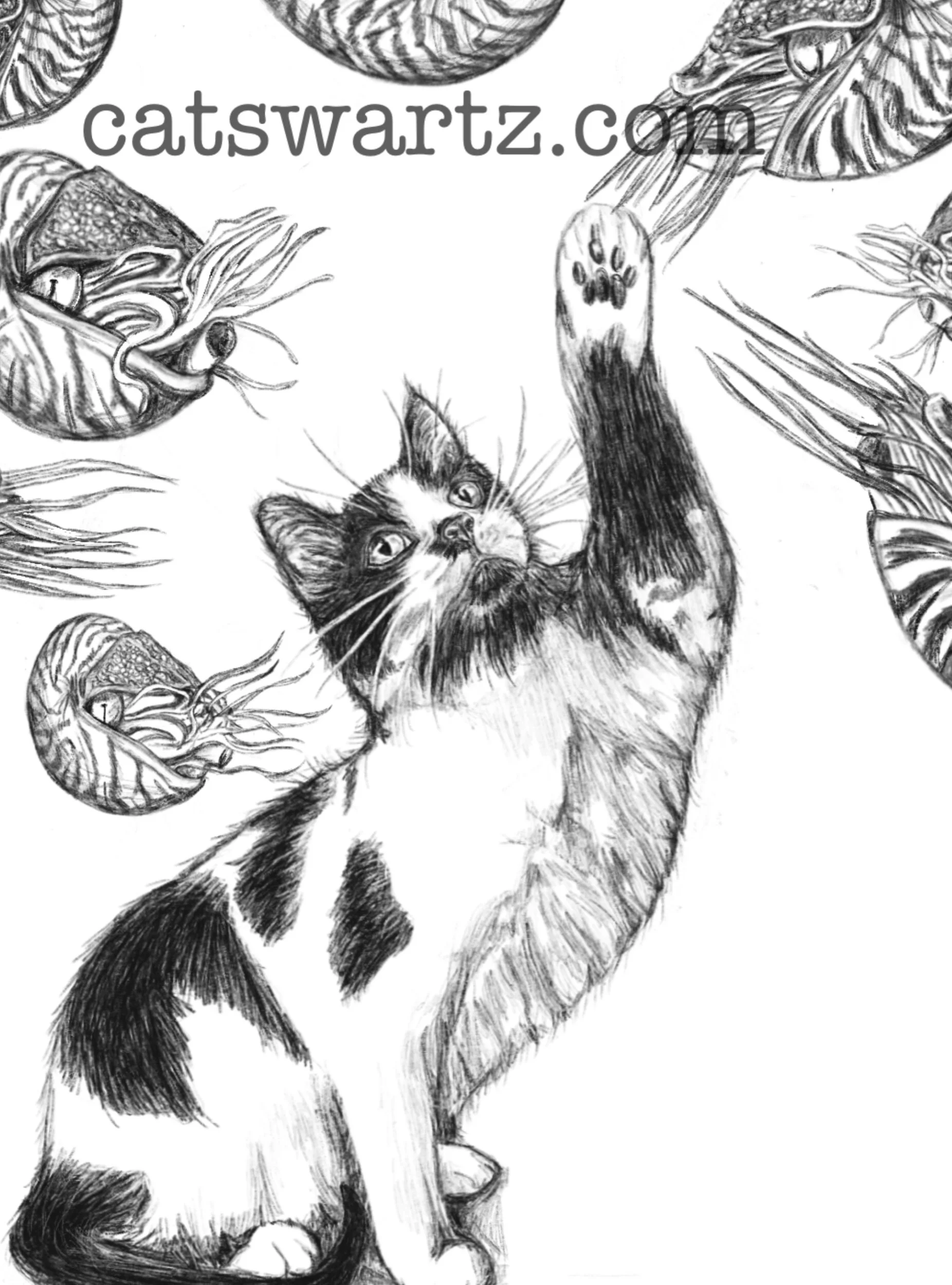 9D073EFE-5B3F-4267-897D-2F6516C606C7