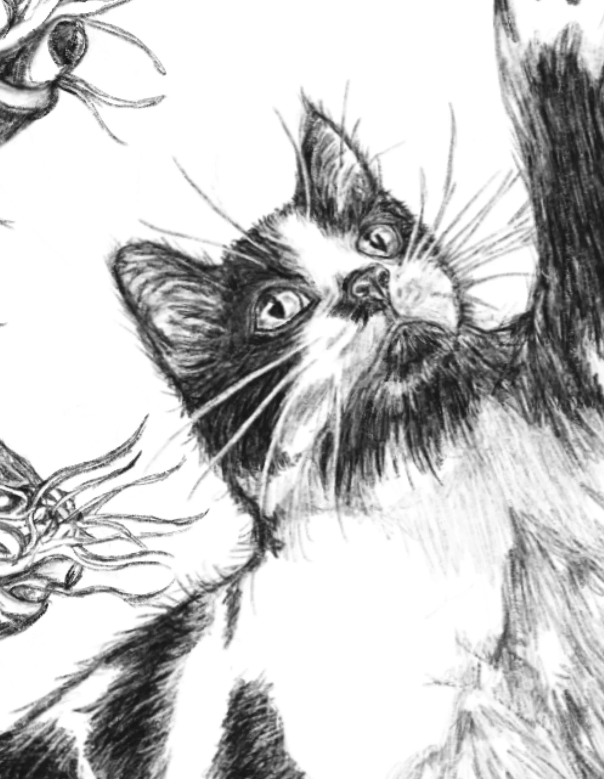 8B6ED2E9-1CA0-4C85-9793-B119F572FDC2