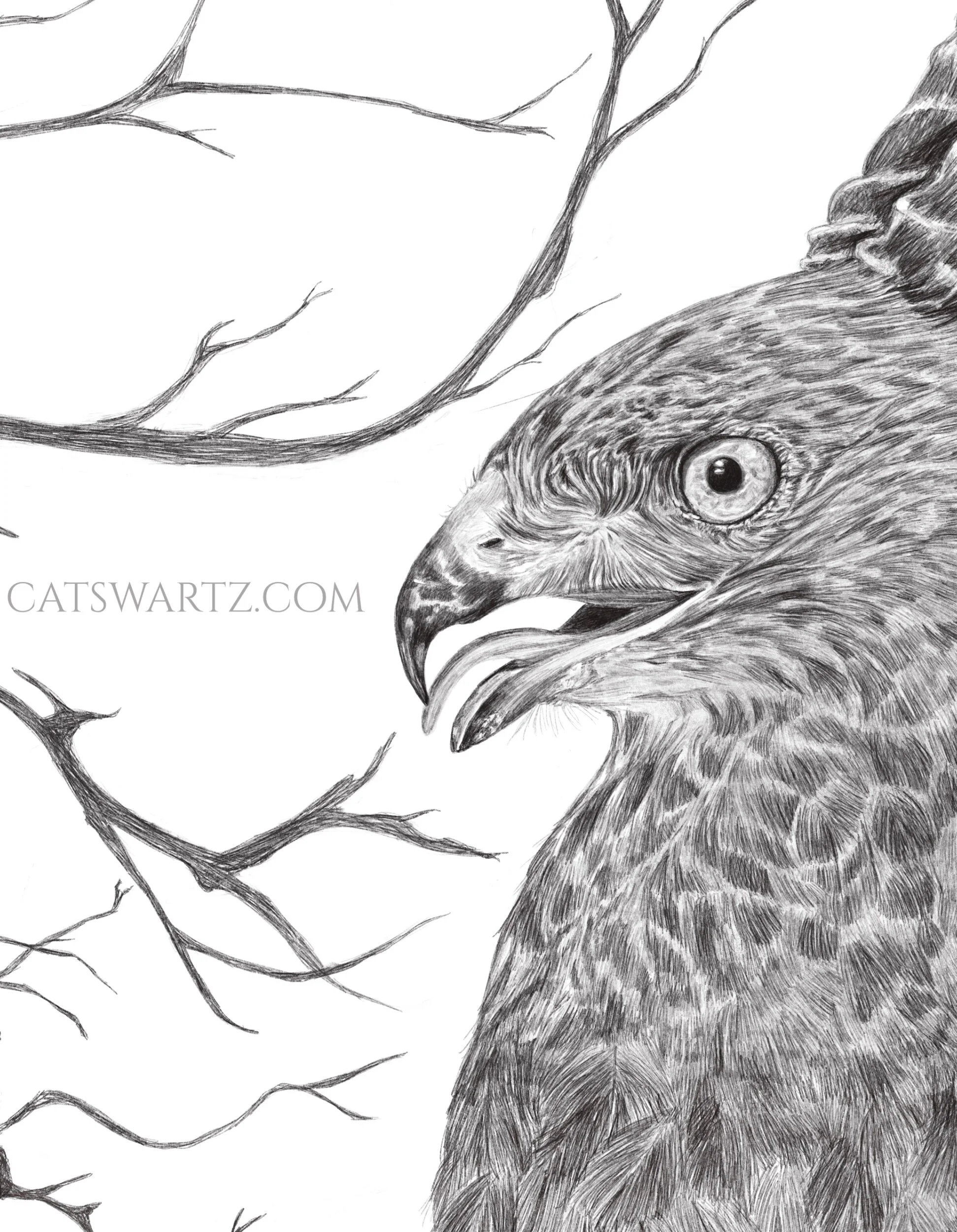 F6439E10-1315-433D-91D2-F82EF2A1F0C7