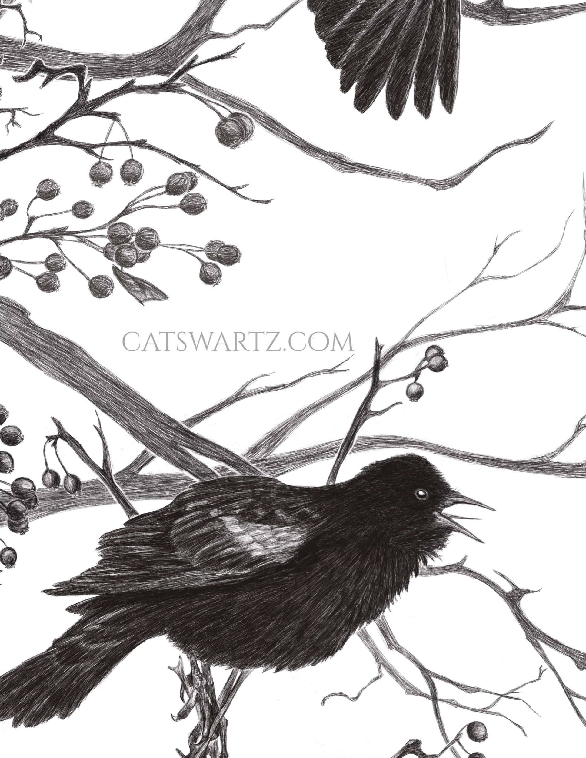 6C8E45D4-5EBD-47D9-95D9-828ABBDCF789