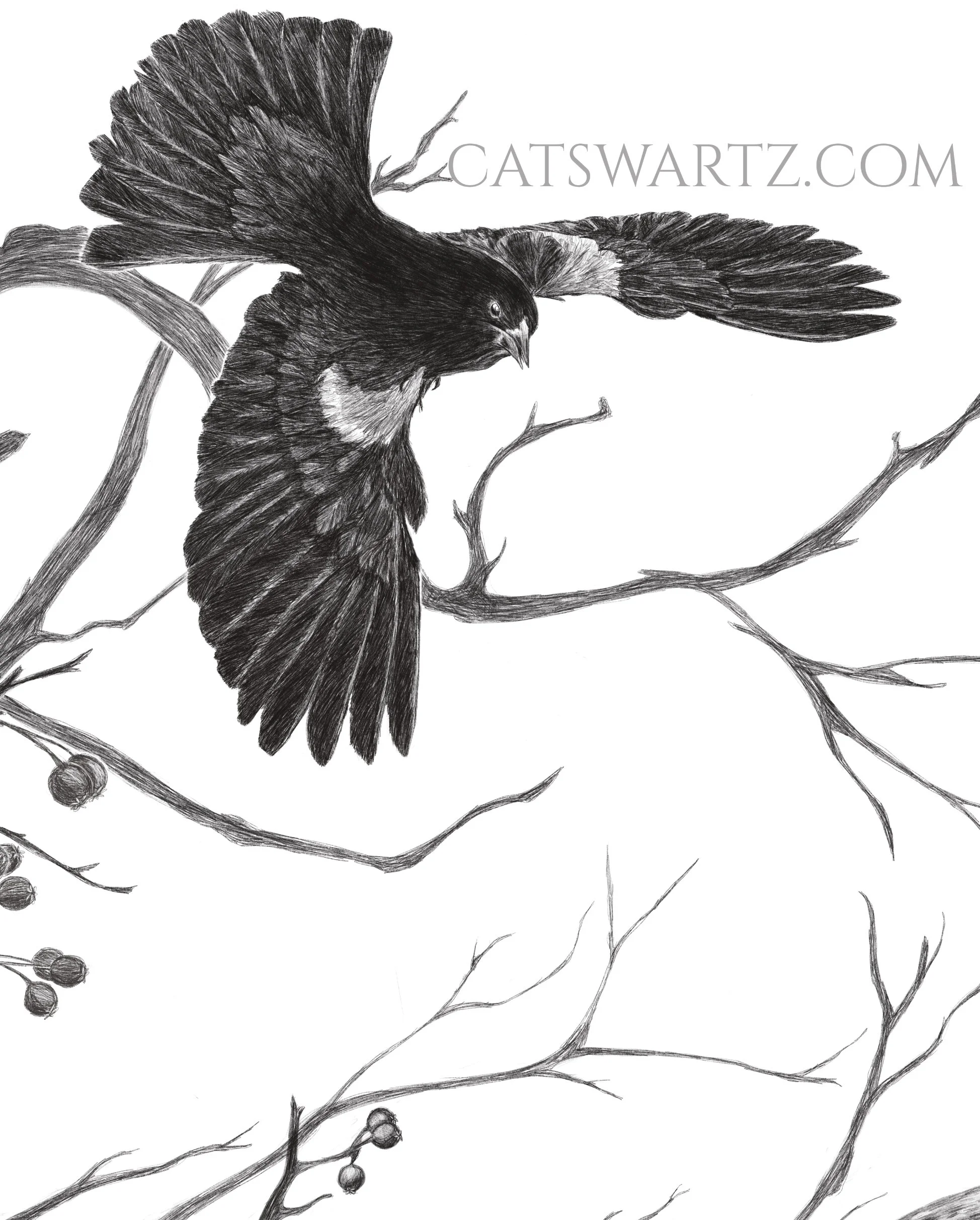 D056A77C-05C5-4062-ADC8-806FA28724FC