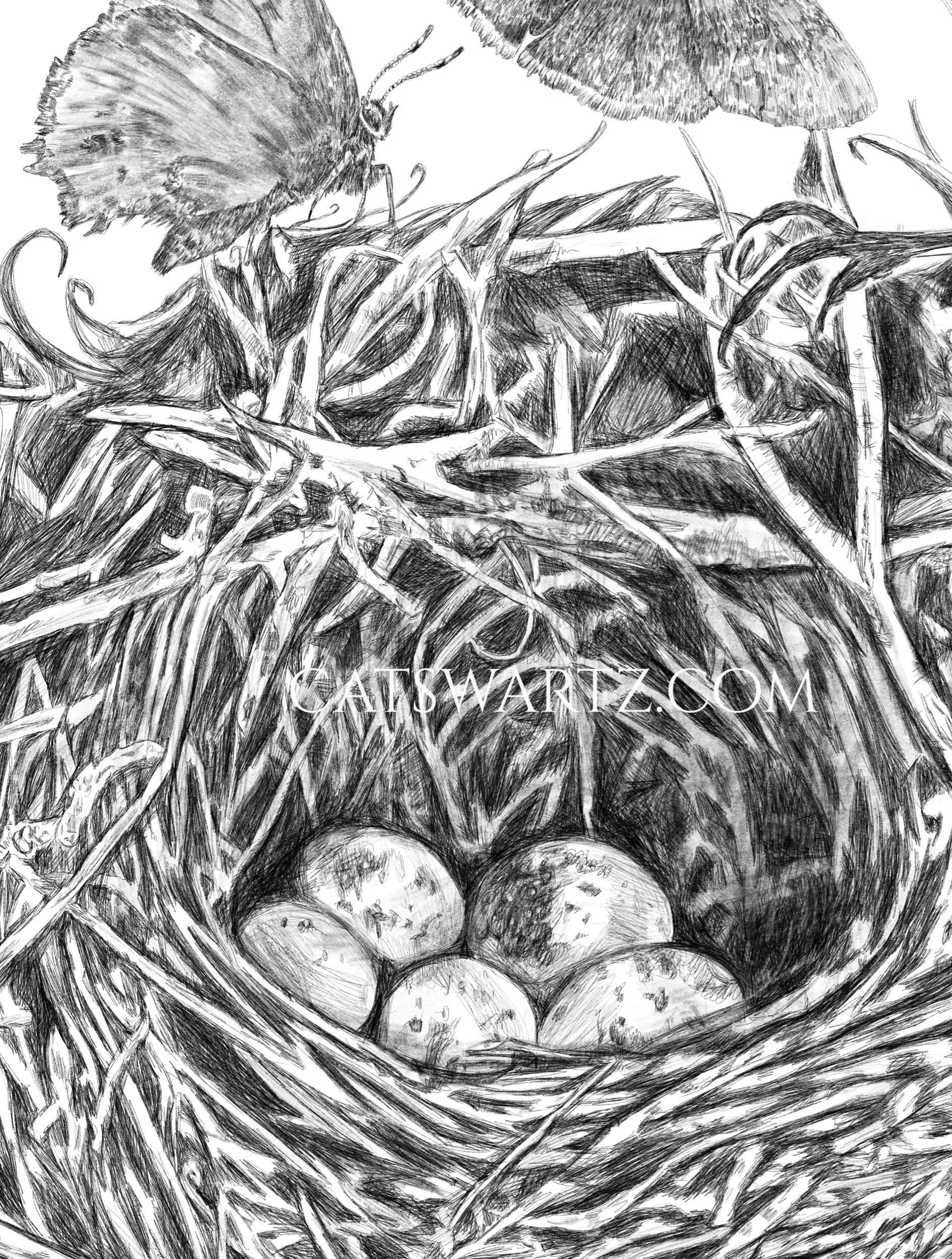 EFB23256-5A7B-4F64-A33C-19185952D891