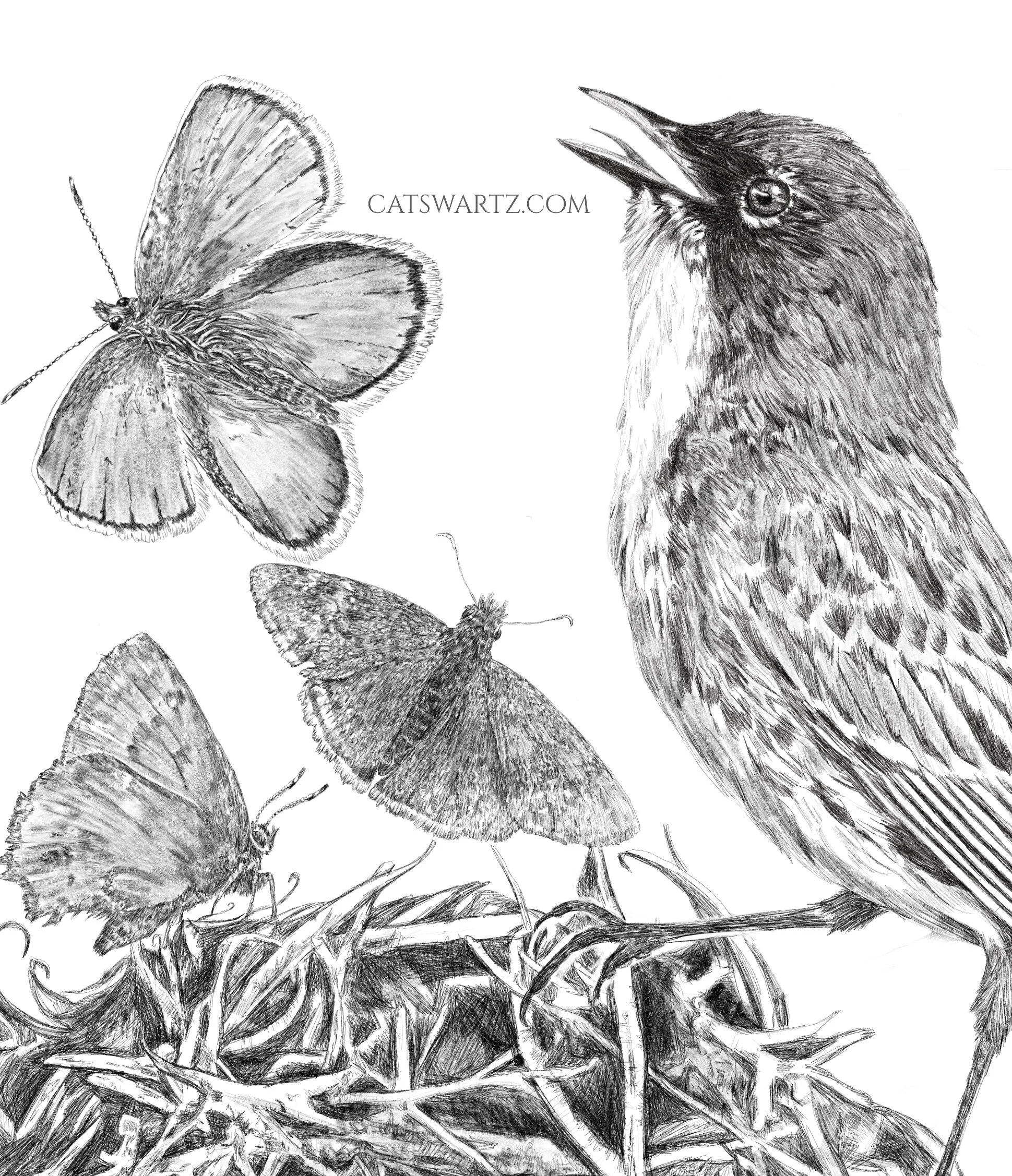 2C2FEEC7-864B-43BF-A774-A4CBC943F887