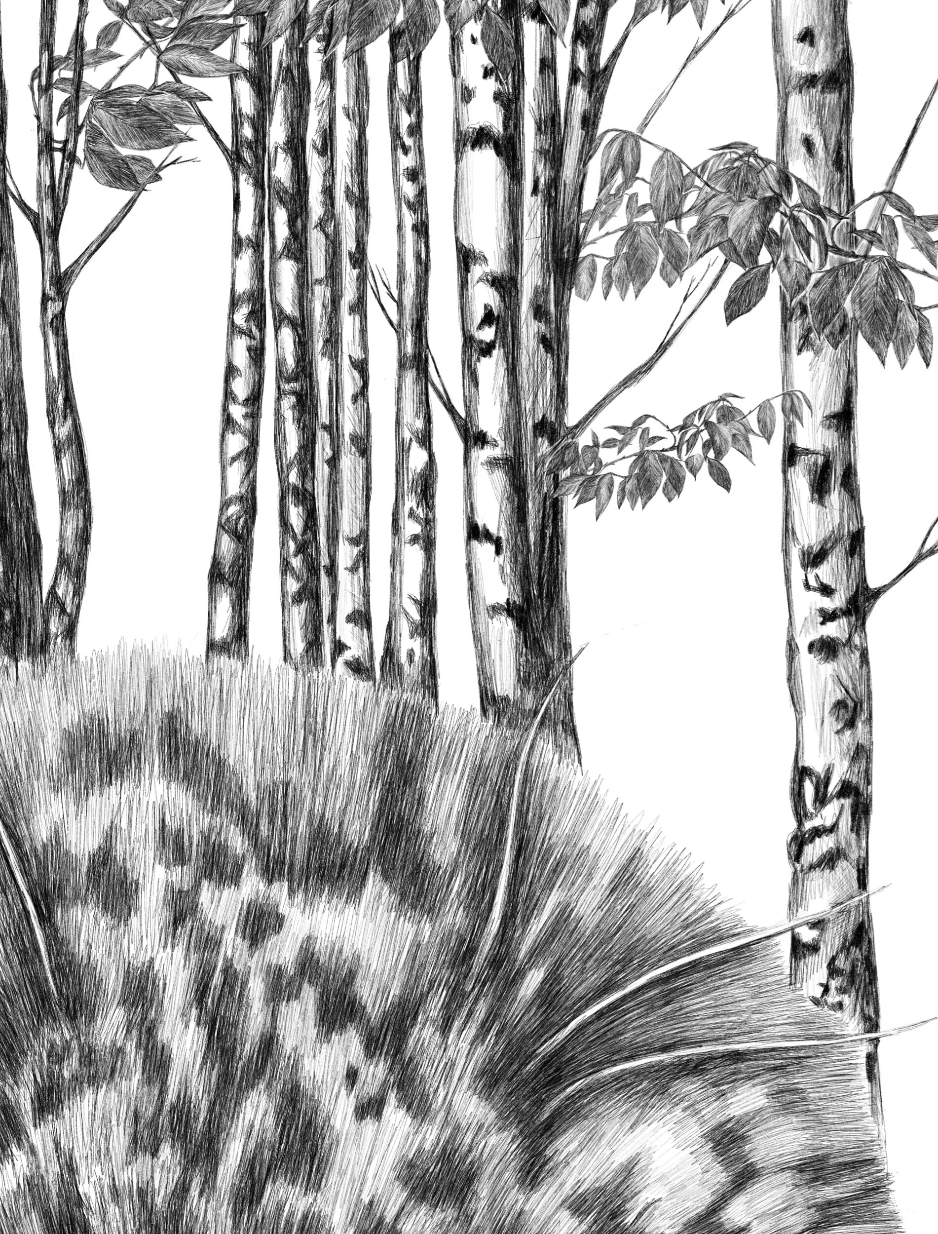 C0DD038A-29B5-4148-A070-75E1F18B2526