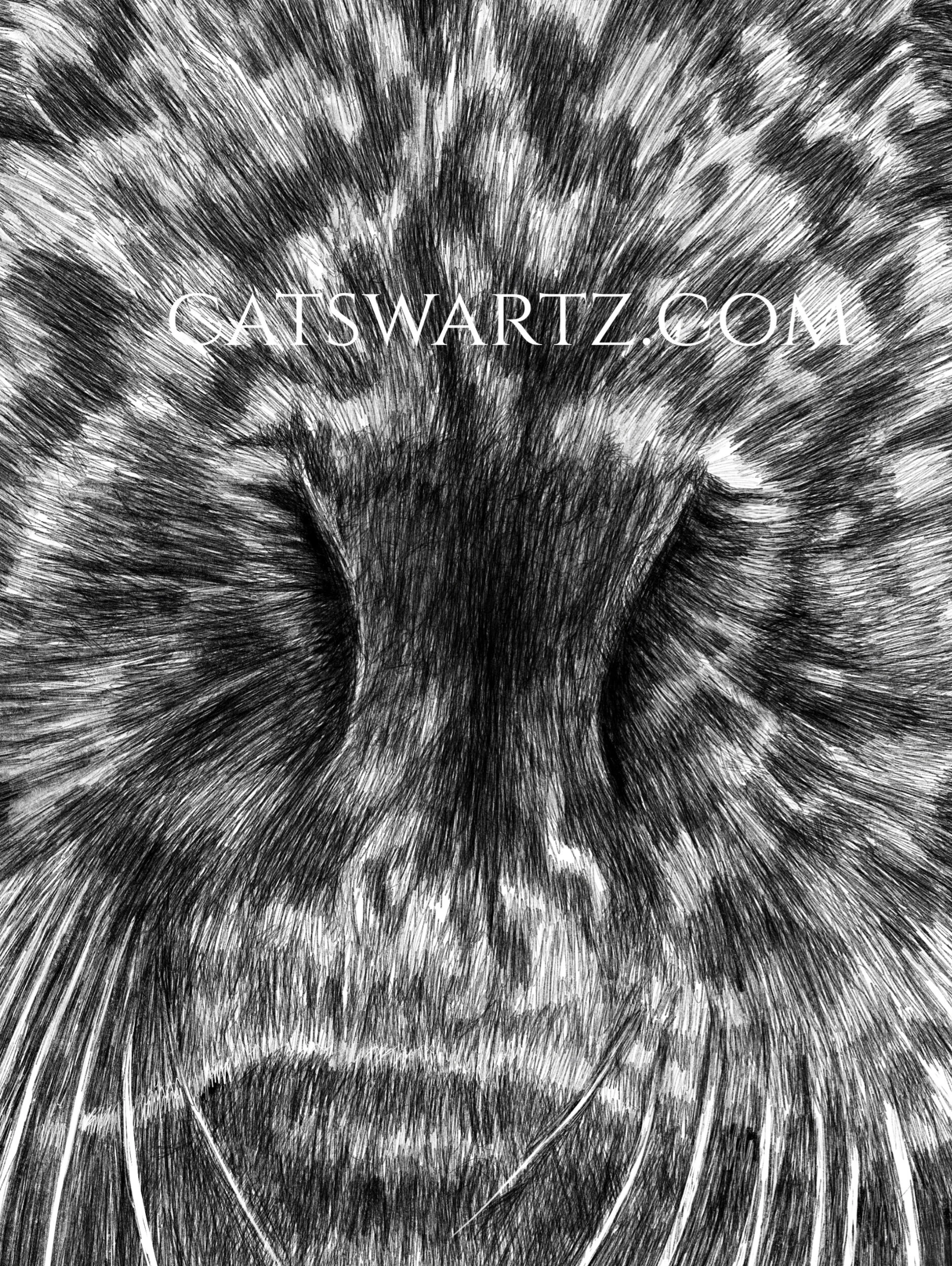 8B3DFB7A-FC8E-4732-A77C-B117B5CE371C