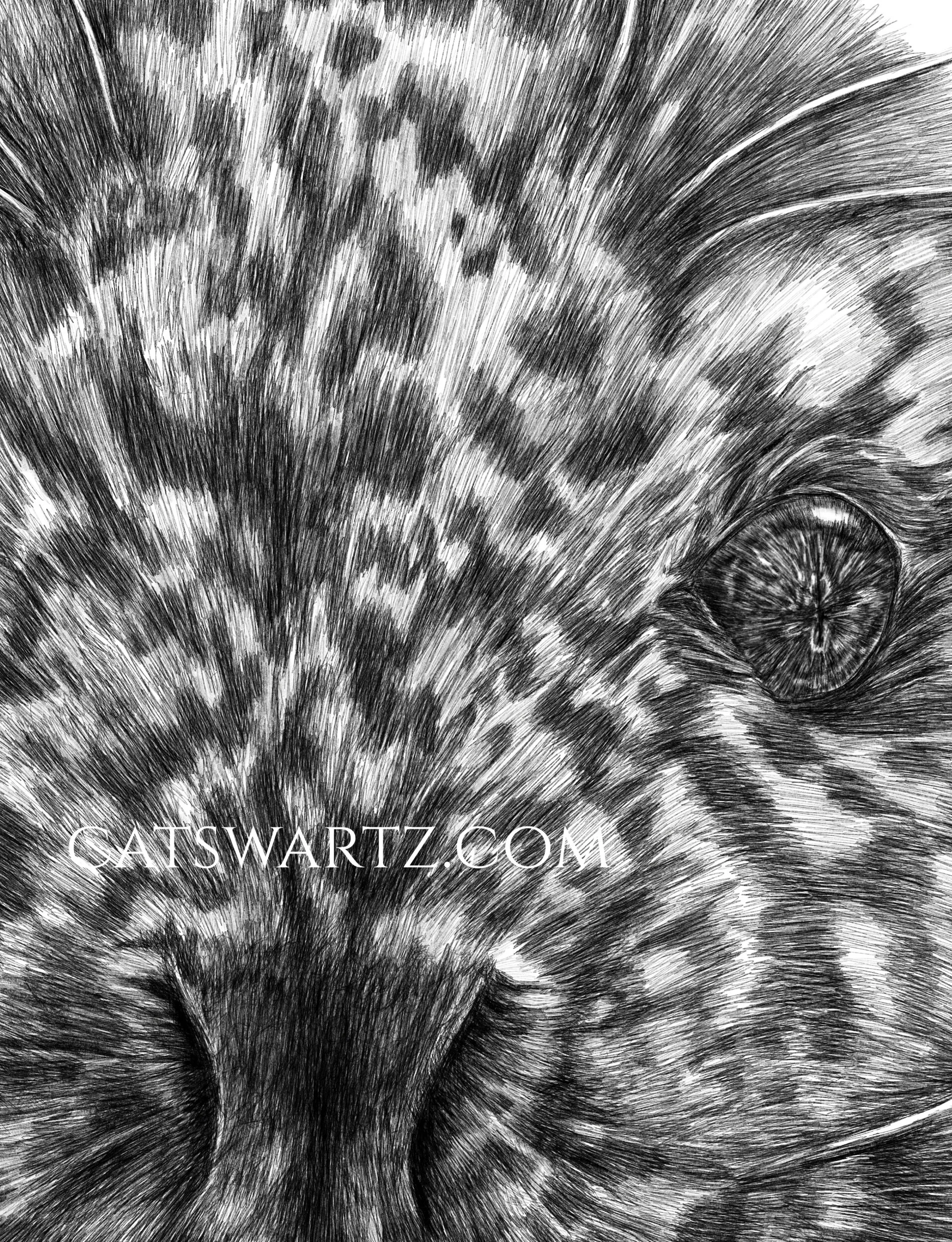 A2860D7C-D9C4-41E4-9801-0C1E69DEFC3C