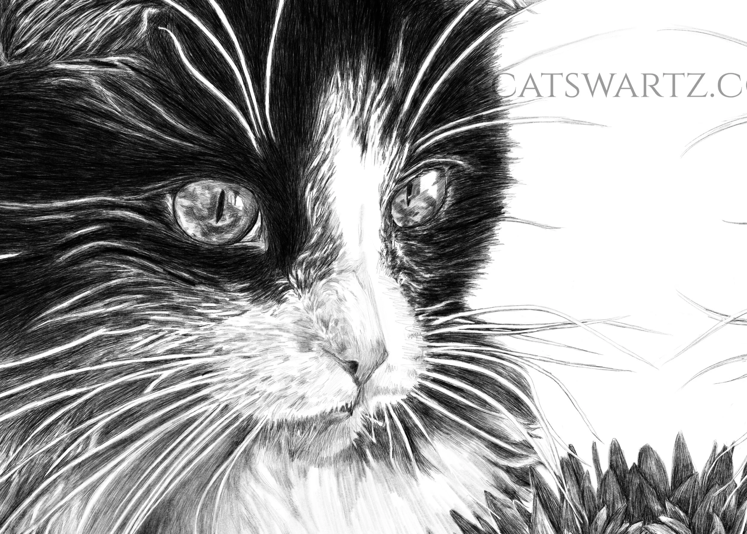 Ignition for Serenity, 2022