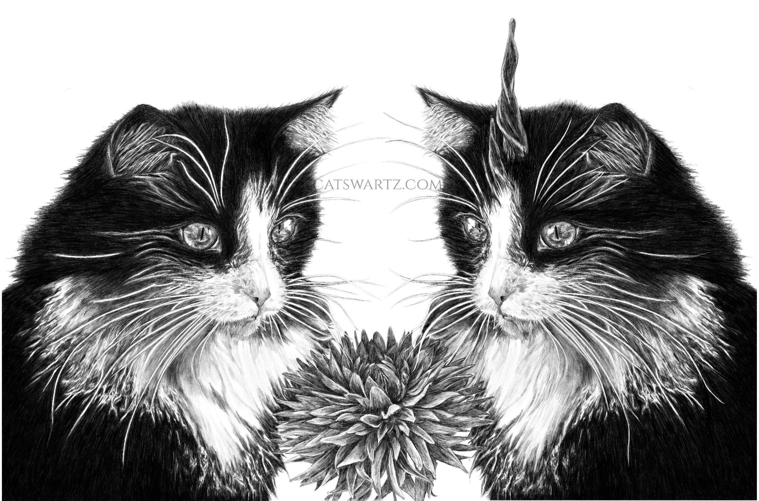 Ignition for Serenity, 2022