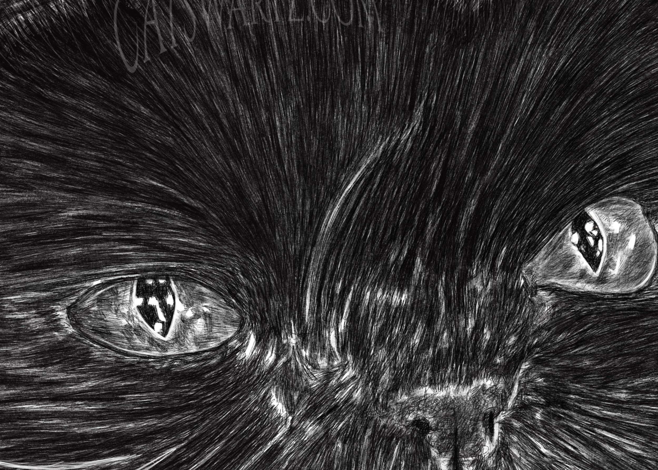 I Say It Is and It’s True, 2022