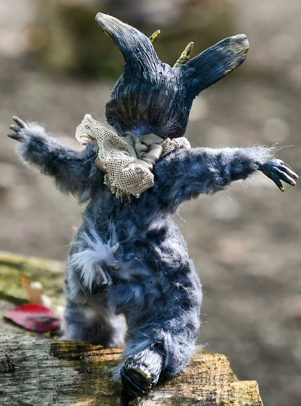 Leeva Leviathan, 2022