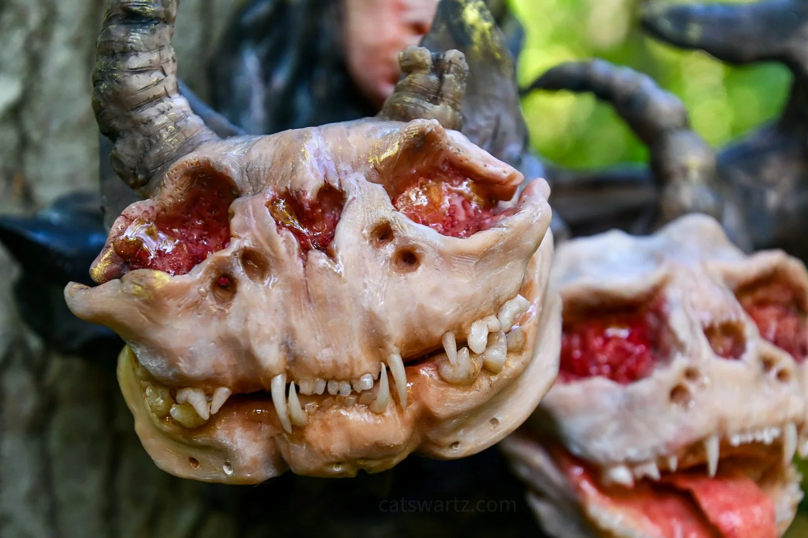 Restitutio Anima Capaces Mortis, 2023