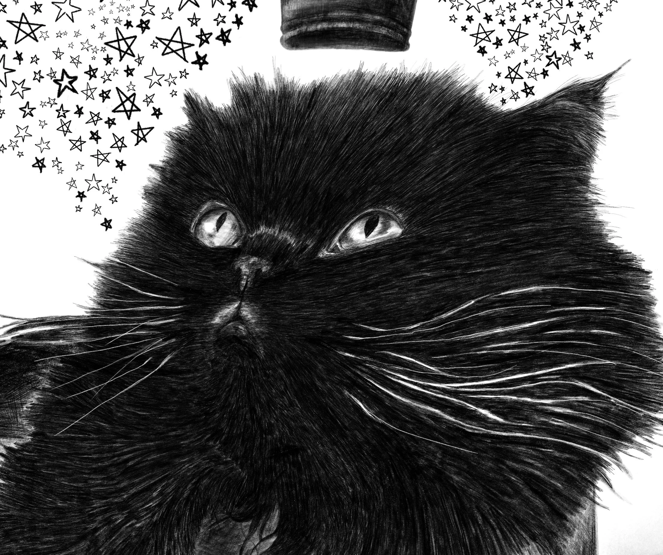 Love You More Than Stars in the Sky, 2023