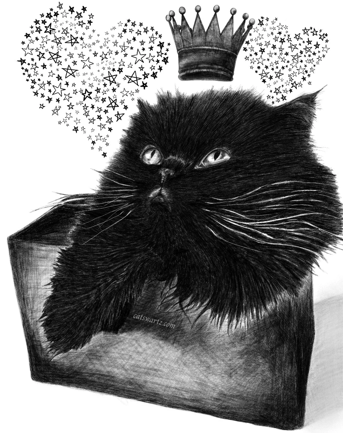 Love You More Than Stars in the Sky, 2023