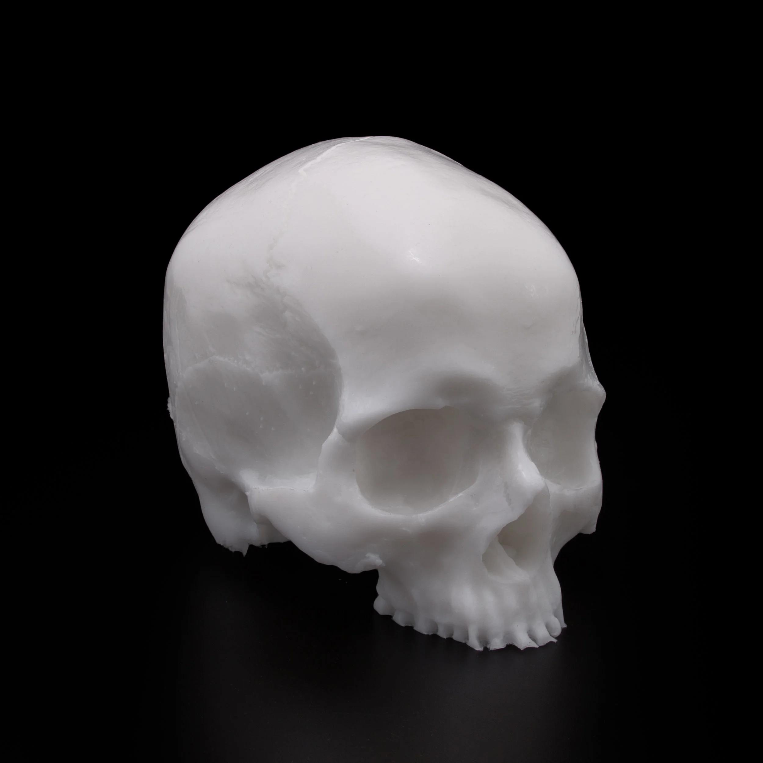 APOF_Skull-3.jpg
