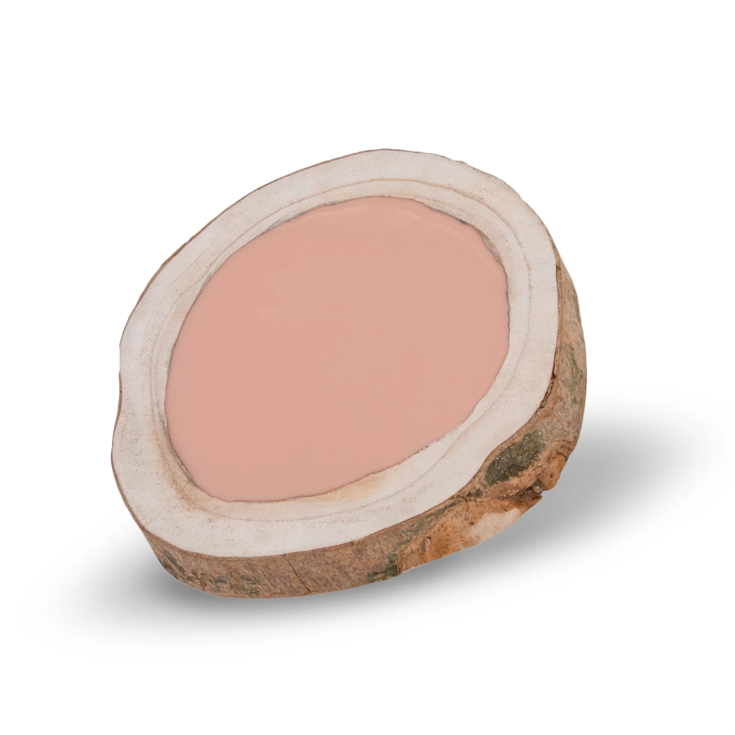 APOF_Plank2-1.jpg