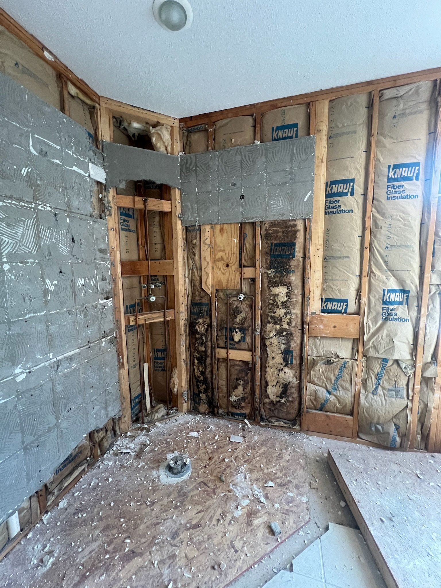 Primary Bathroom Demo