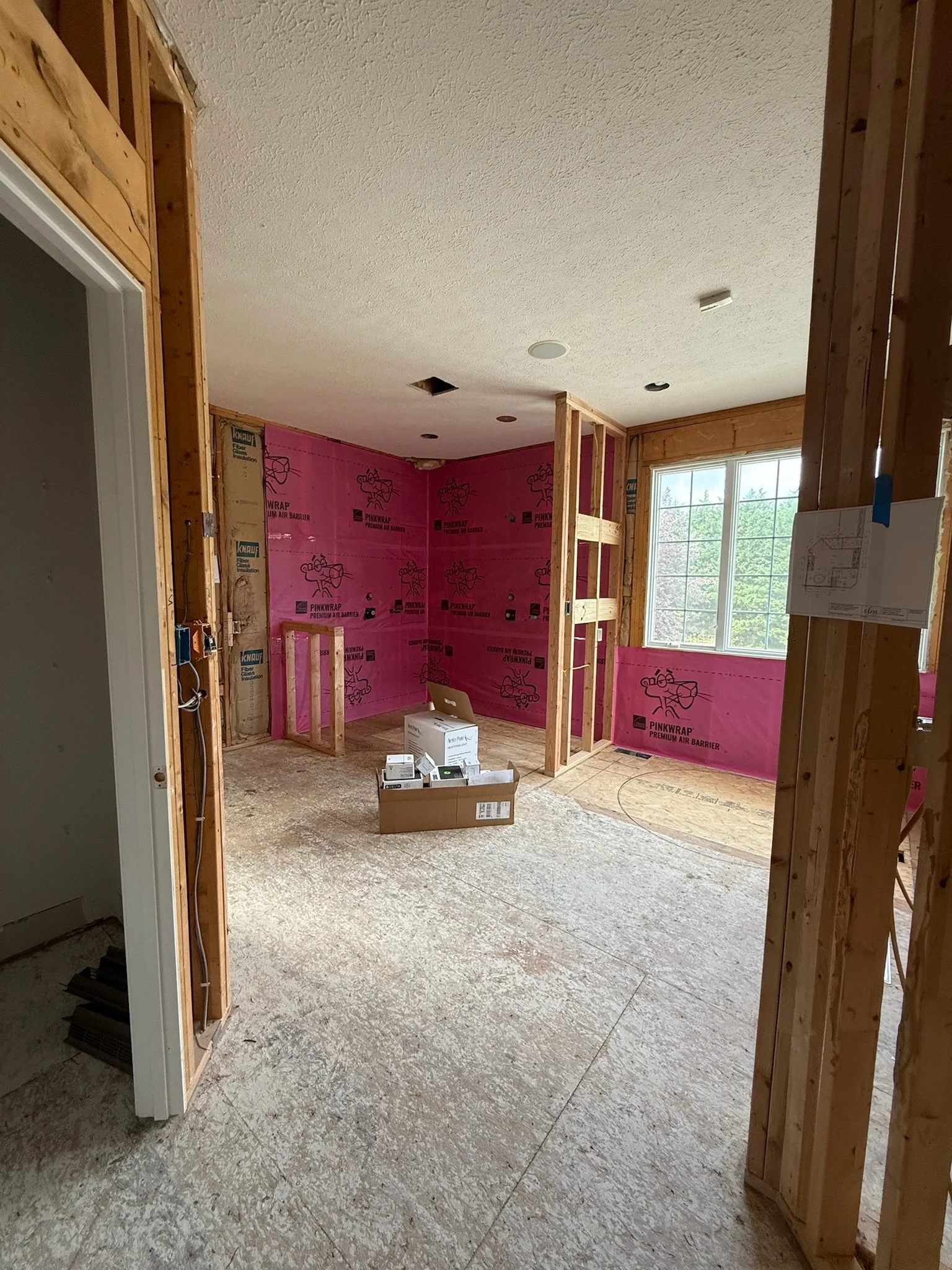 Primary Bathroom Framing