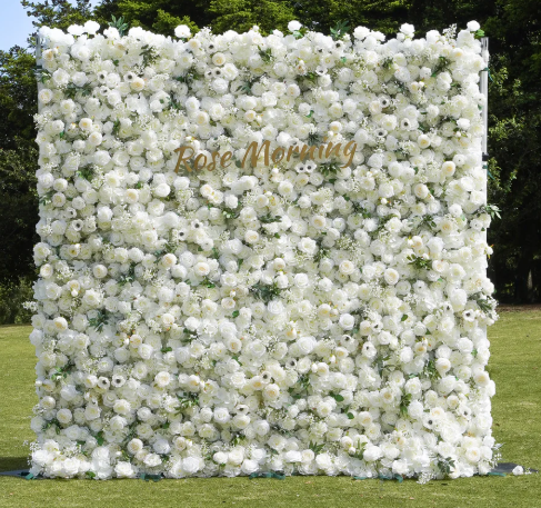 White Rose Wall