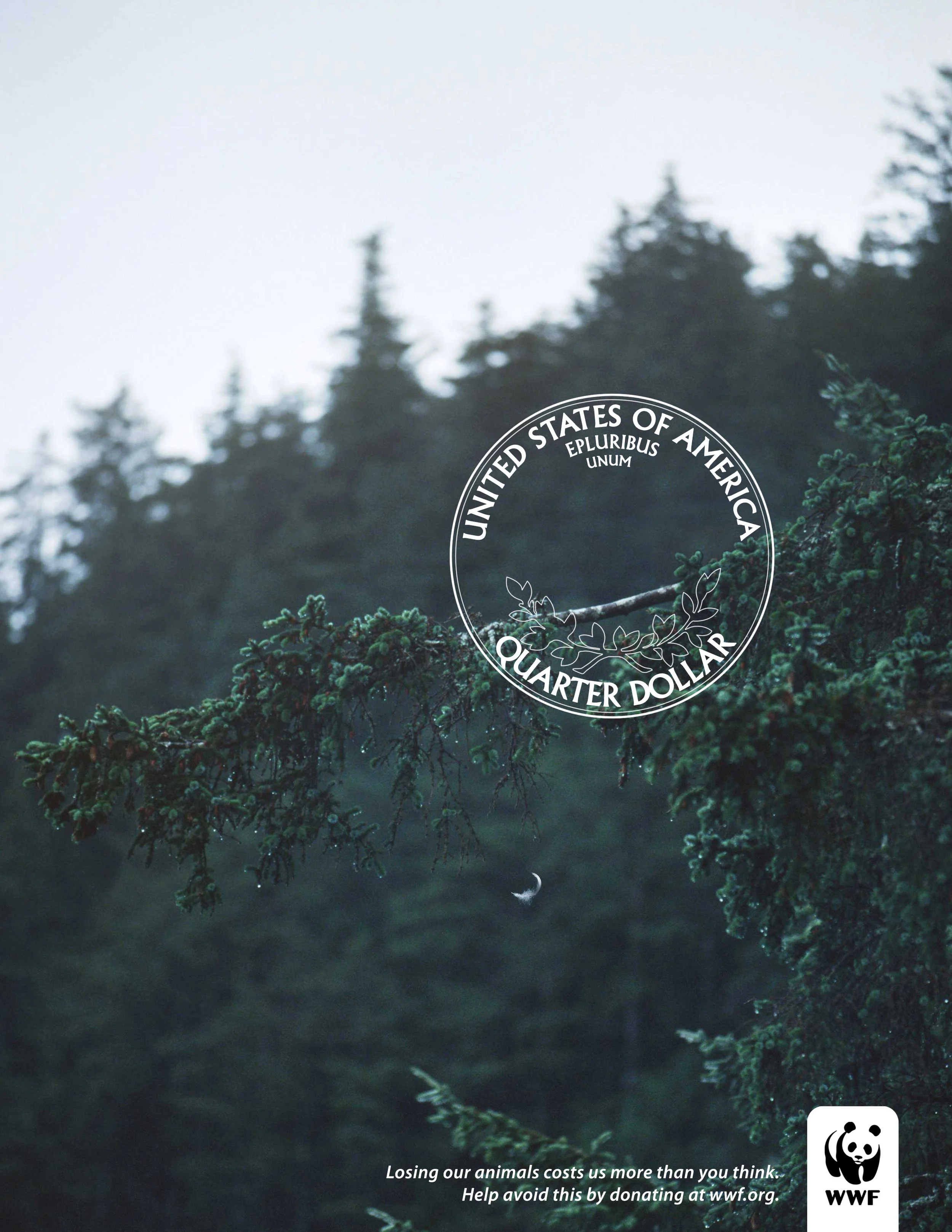 WWF_US.jpg